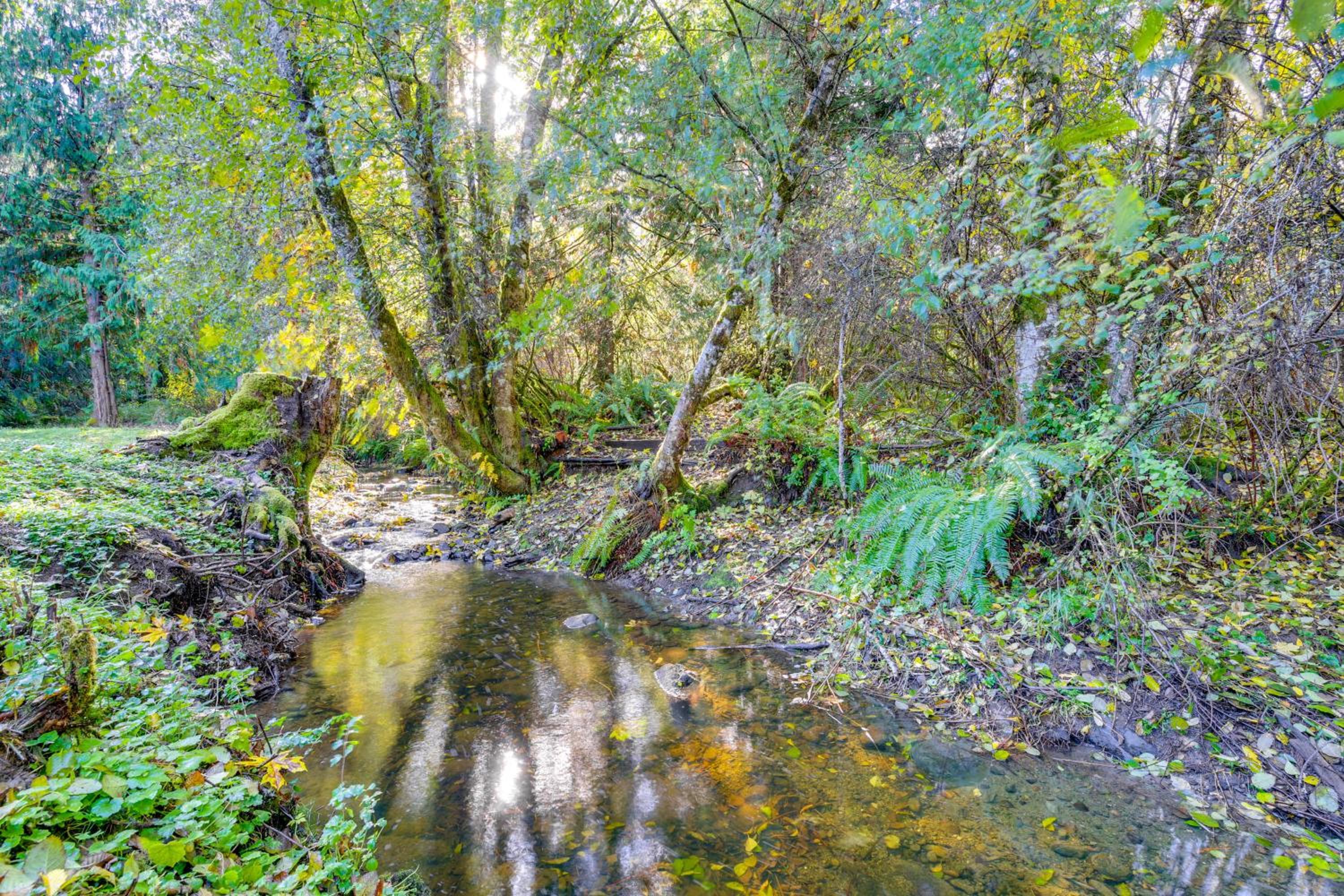 Near Olympic NP and Beaches! Nature Lovers Retreat