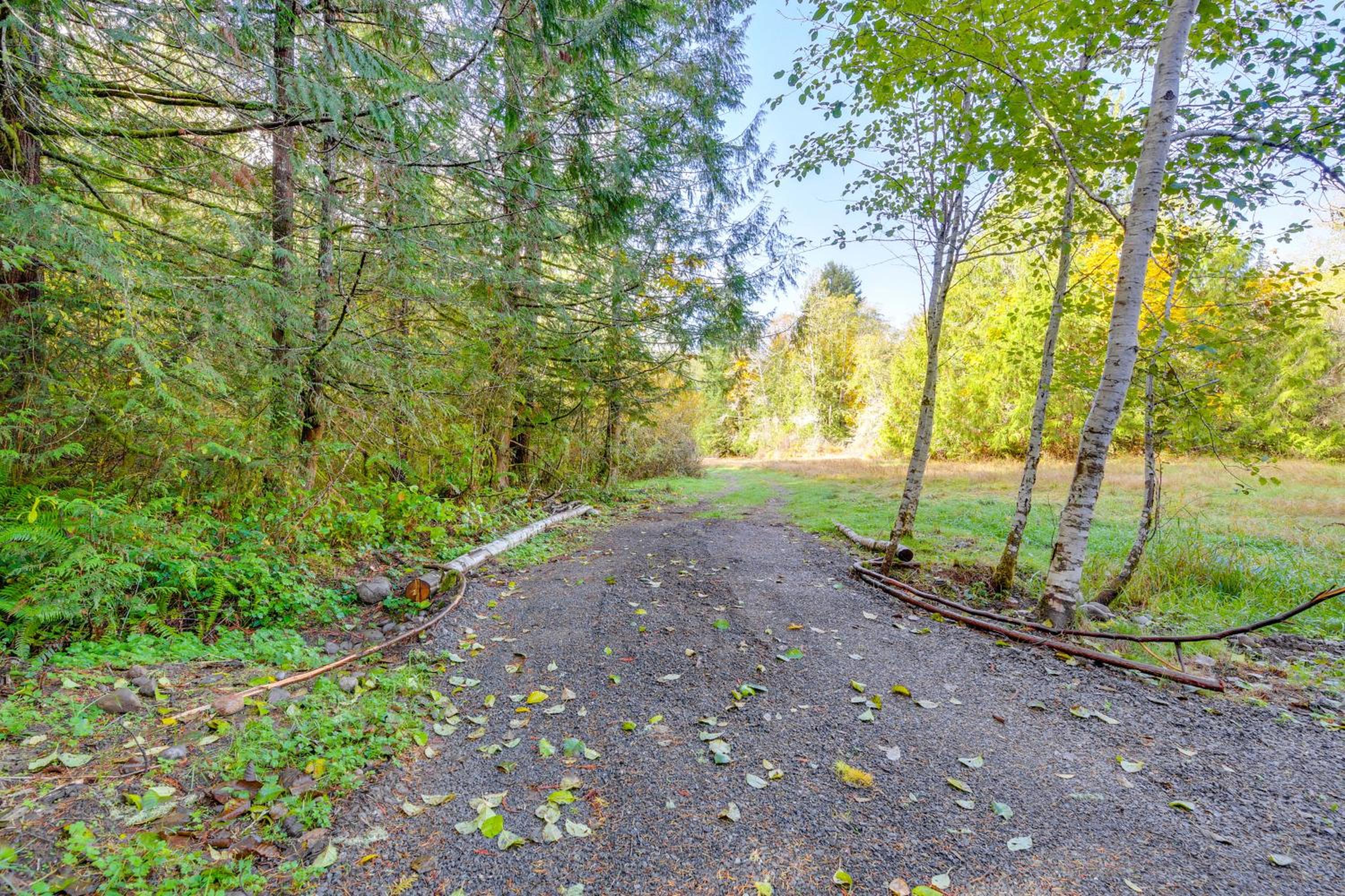 Near Olympic NP and Beaches! Nature Lovers Retreat