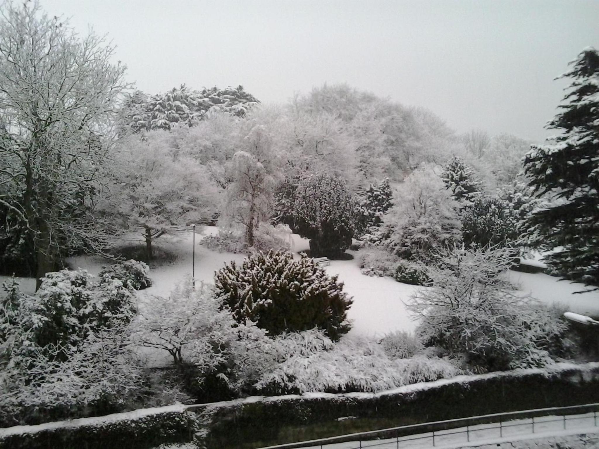 Rylstone Mere