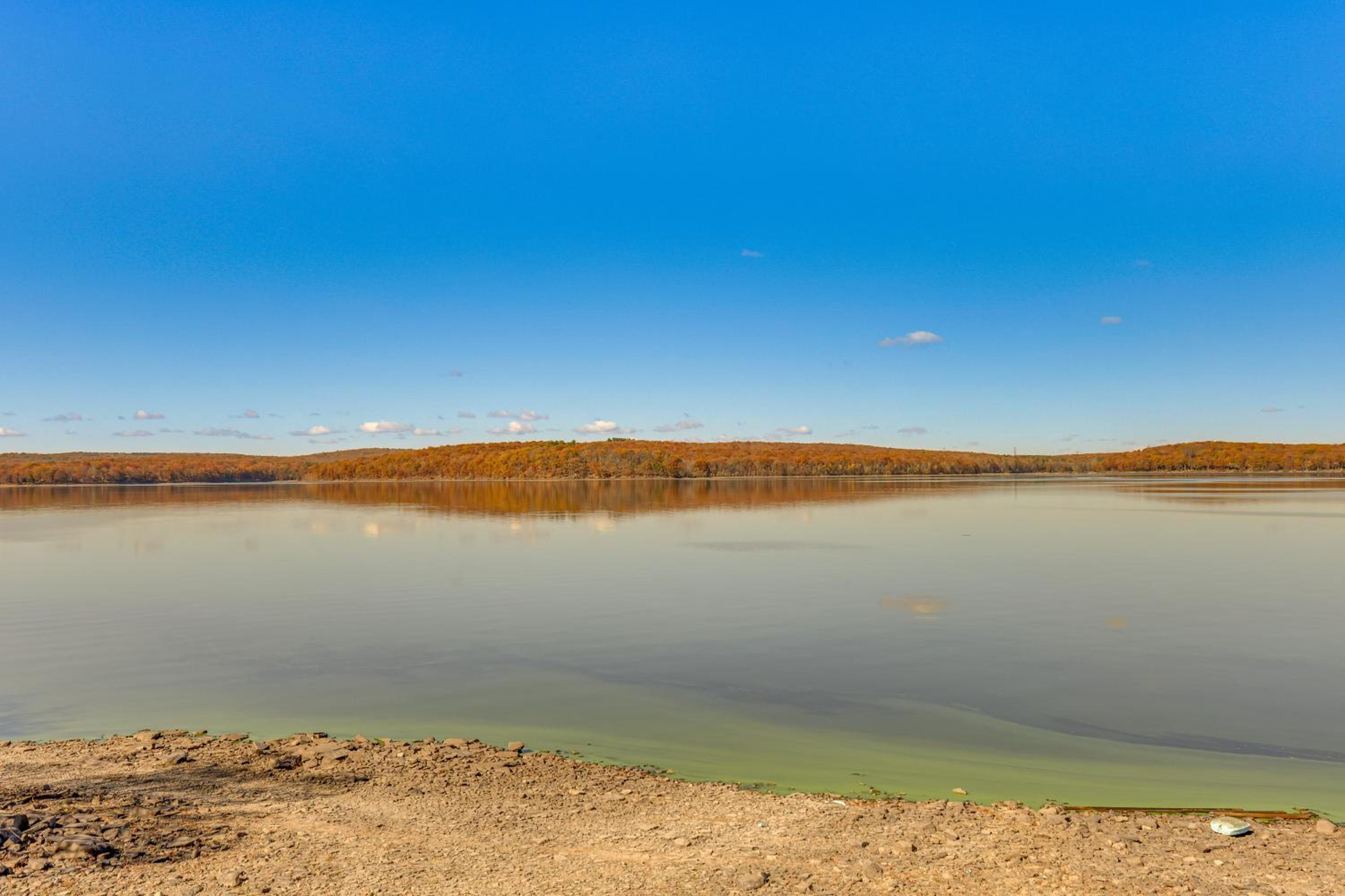 Steps to Lake Tanglwood: Tranquil Wooded Retreat