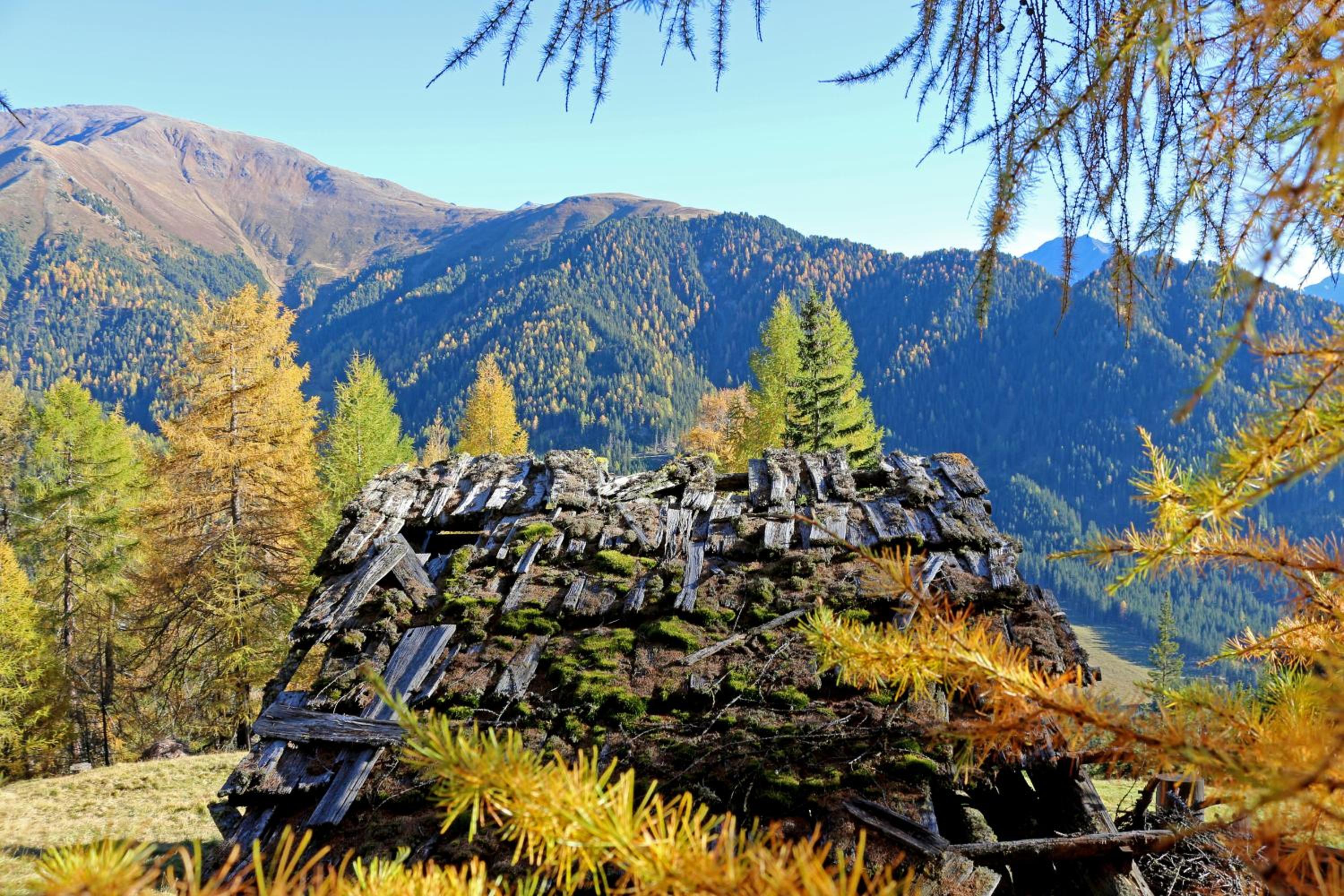 Pension Fuchs