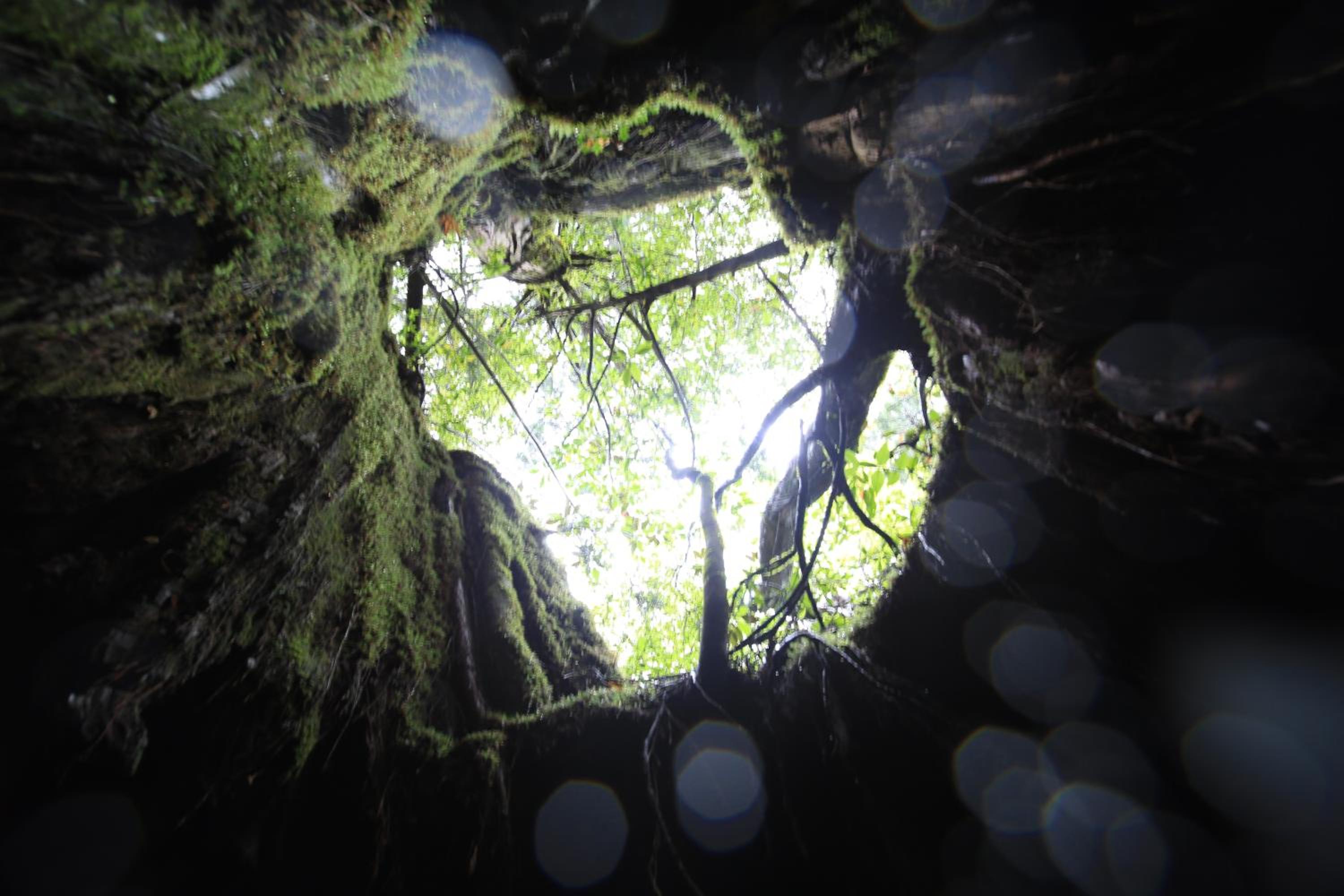 2R Yakushima