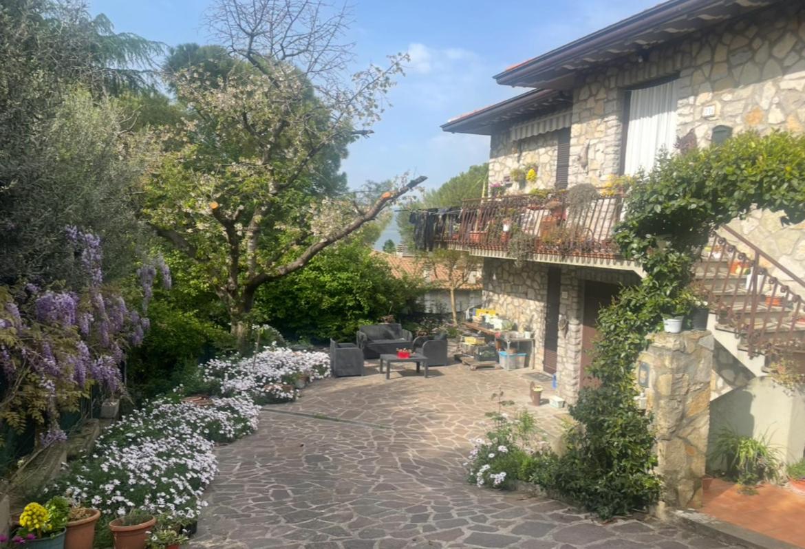 Le Margherite