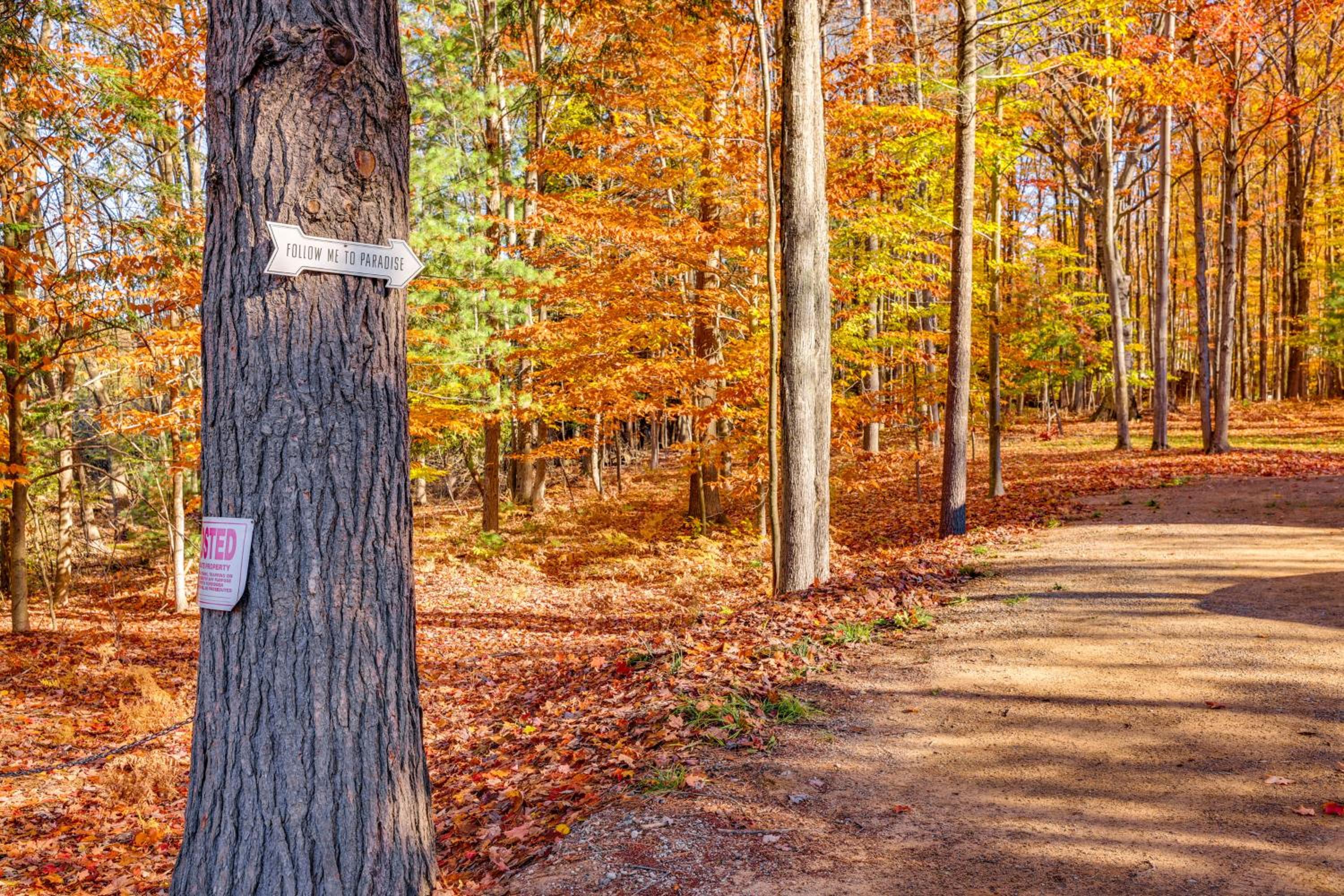 Traverse City Cabin with On-Site Hiking!
