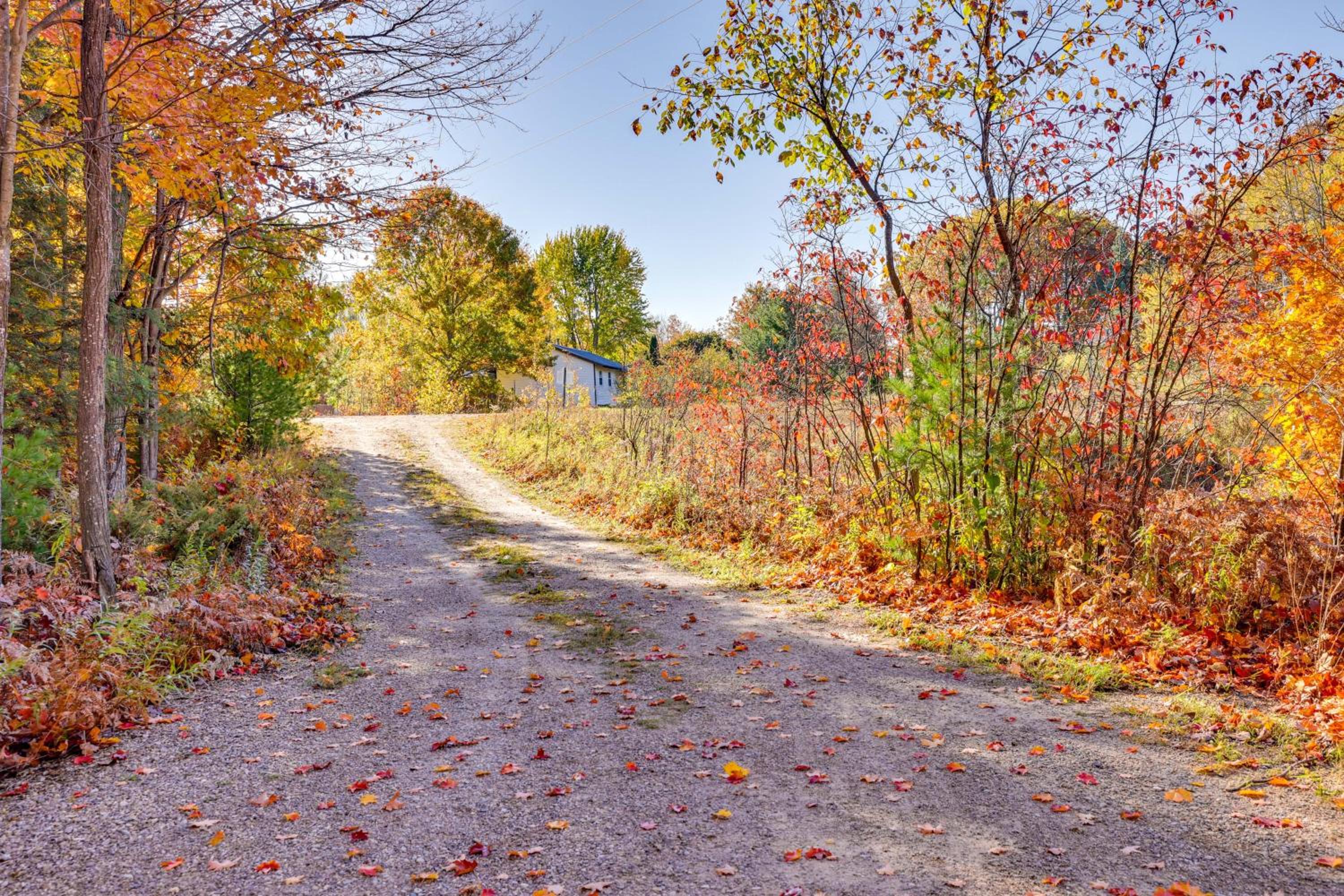 Traverse City Cabin with On-Site Hiking!