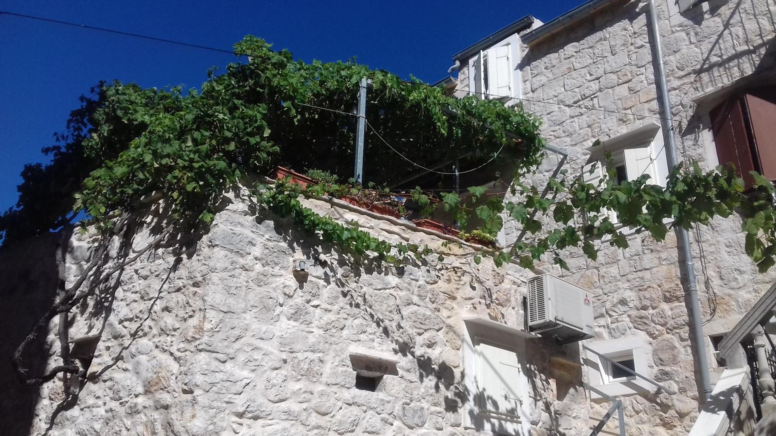 Photo 91