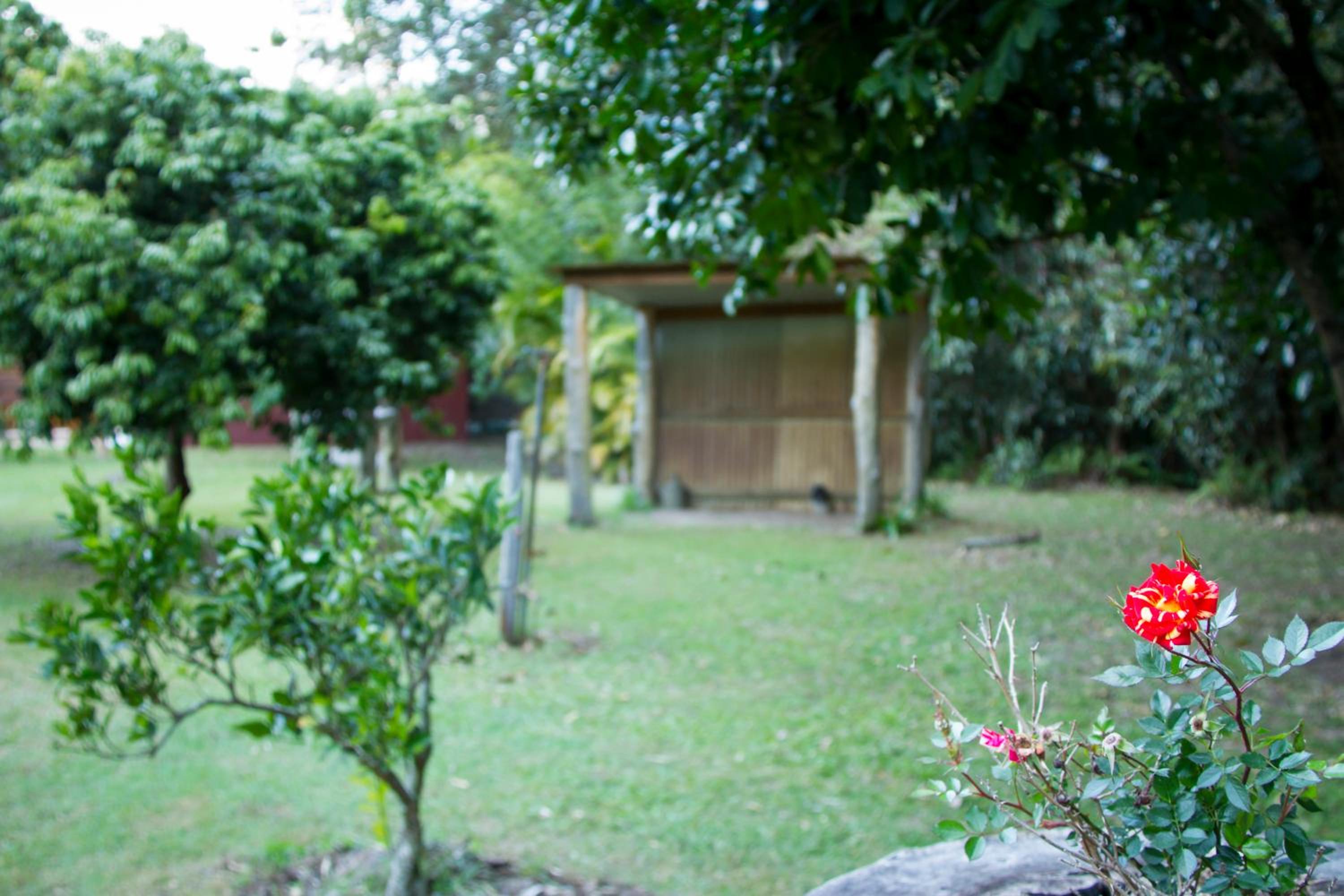 Bielby's Hideaway
