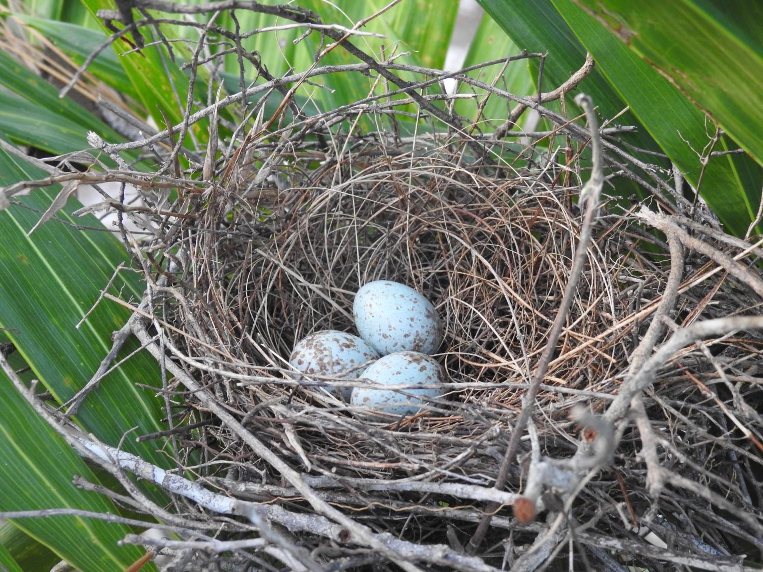Becks Bed & Breakfast