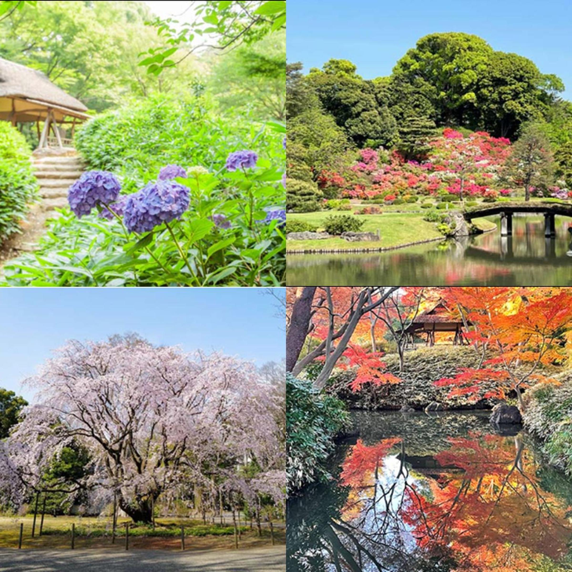 Comfy Stay Tokiwadai 2minute walk from Tokiwadai Station Ikebukuro 9min Shinjuku 14min Shibuya 18min Max 4guests Many restaurants nearby hot spring Shrine