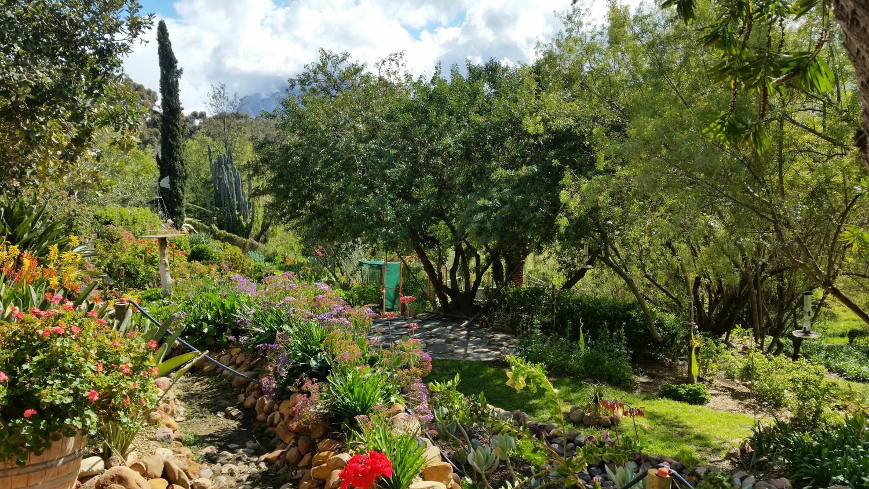 African Tulip Guesthouse