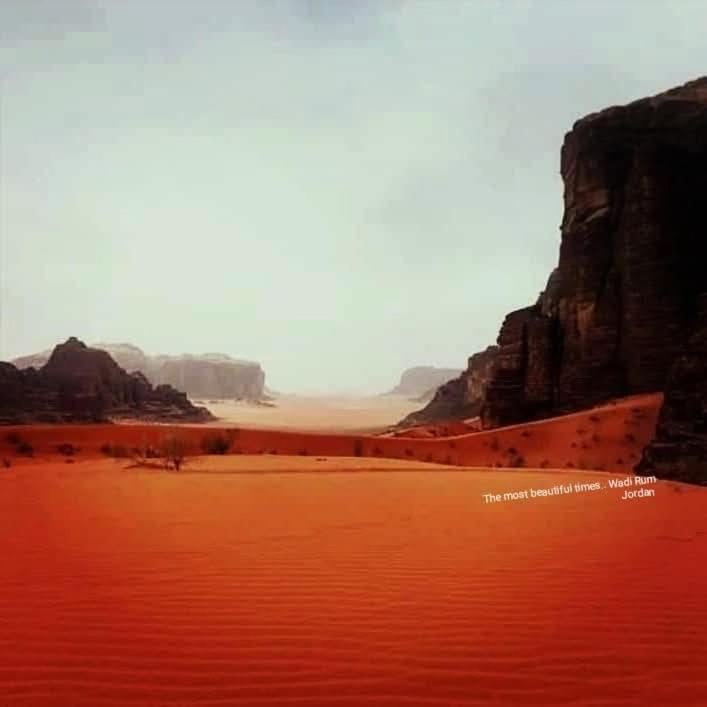 Rum Desert Silence Camp