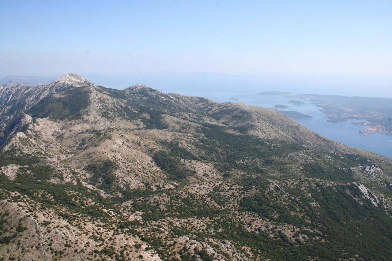 Photo 41