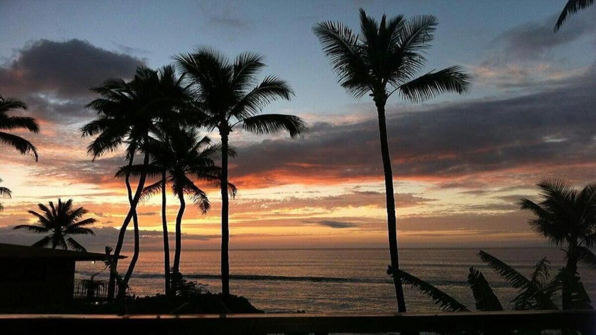 Paki Maui 207 · PM 207 BeachFront 1BD w Ocean View
