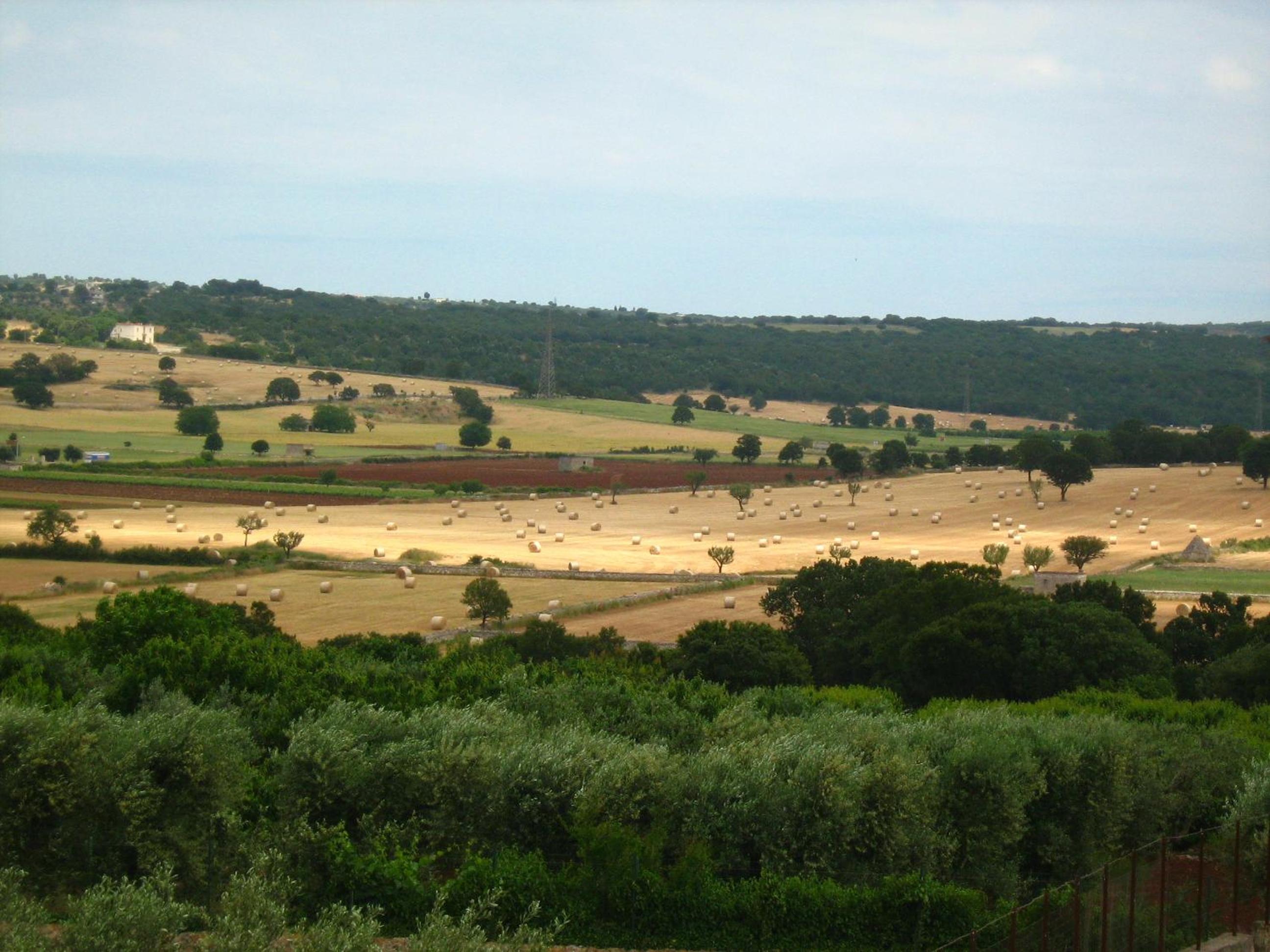 Masseria Torricella