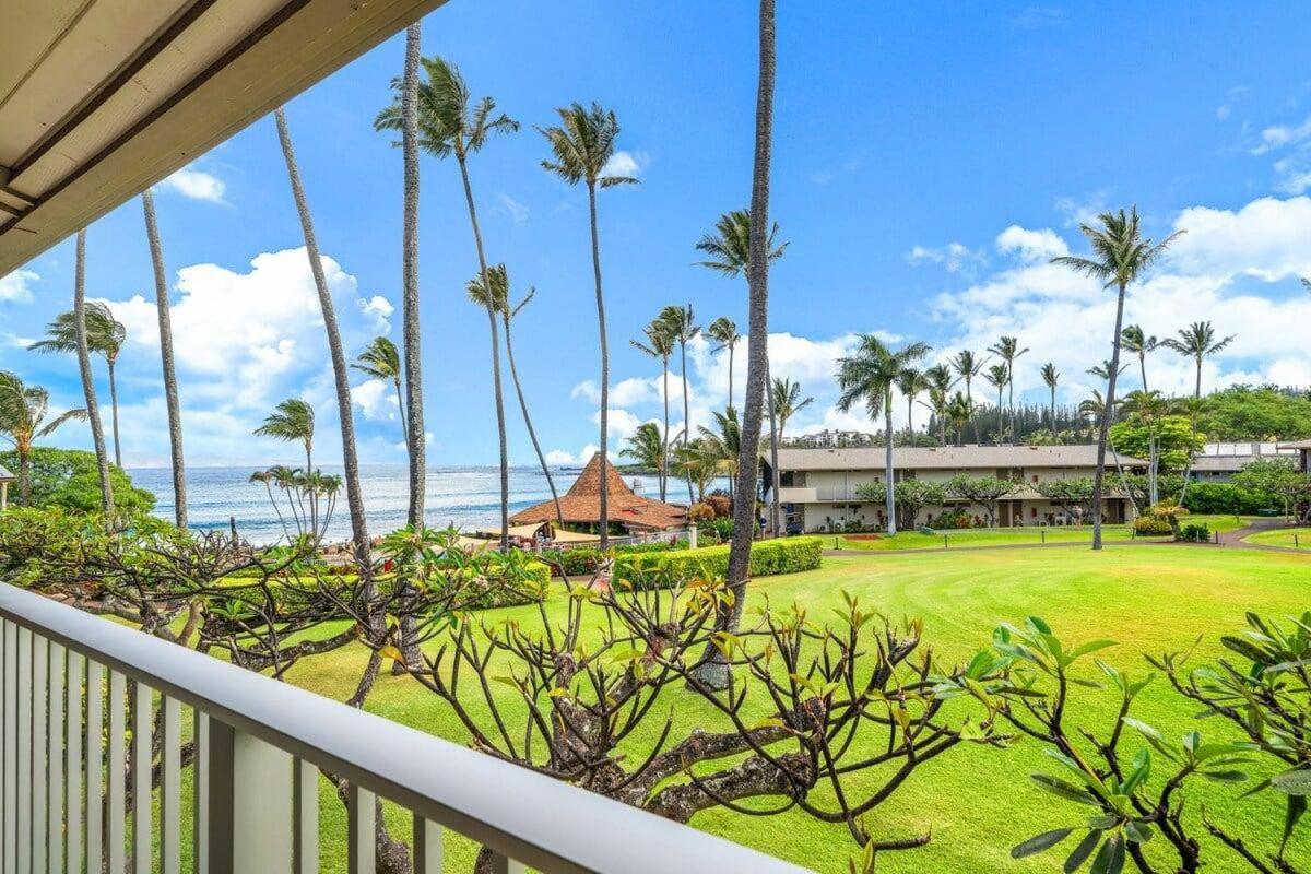 Napili Shores H262 · NS H262 BeachFront Condo Ocean Views Pool H