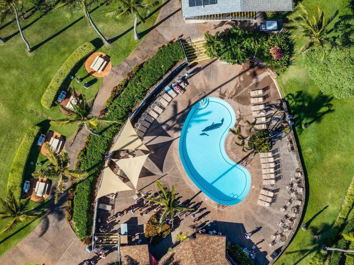 Napili Shores H262 · NS H262 BeachFront Condo Ocean Views Pool H