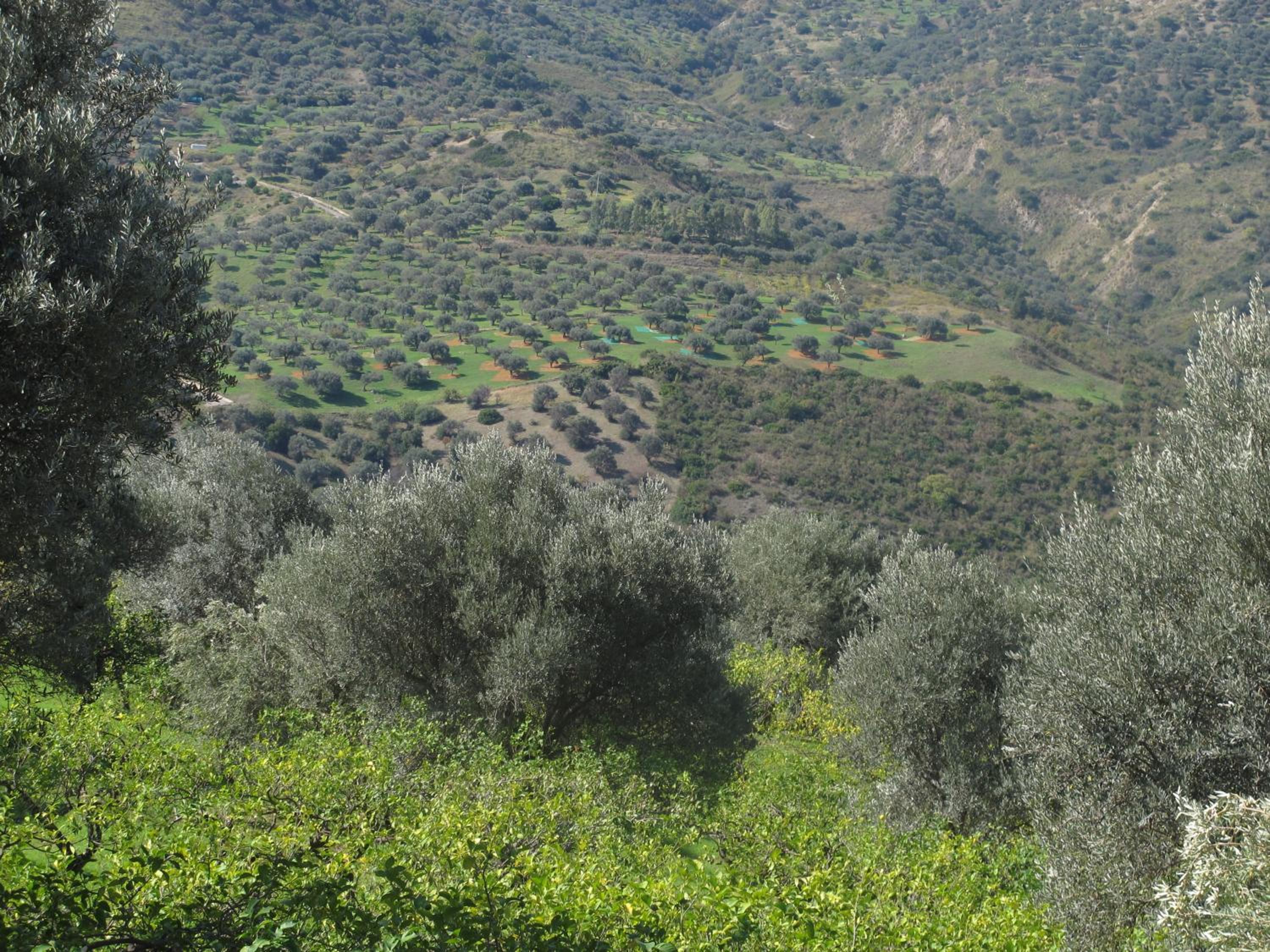 Photo 26
