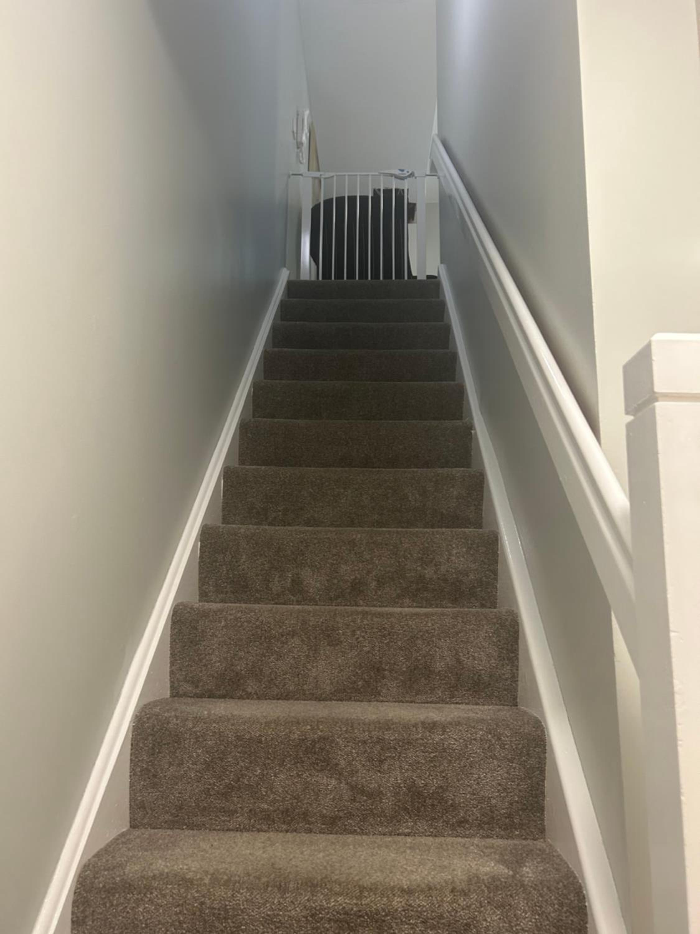 New 4 stars Large prime city center 2 bed 2 bath duplex apartment with free secure parking