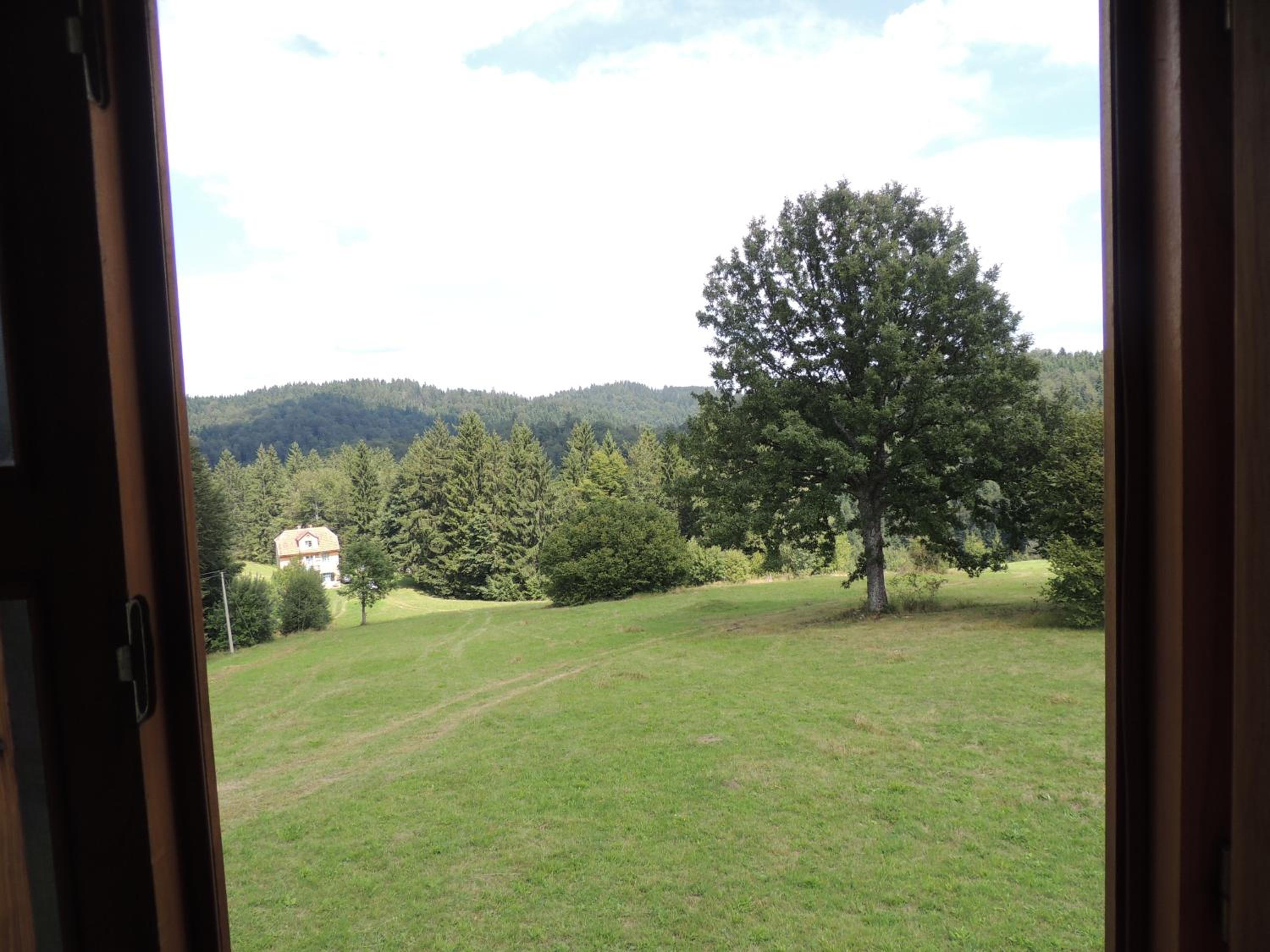 Photo 35