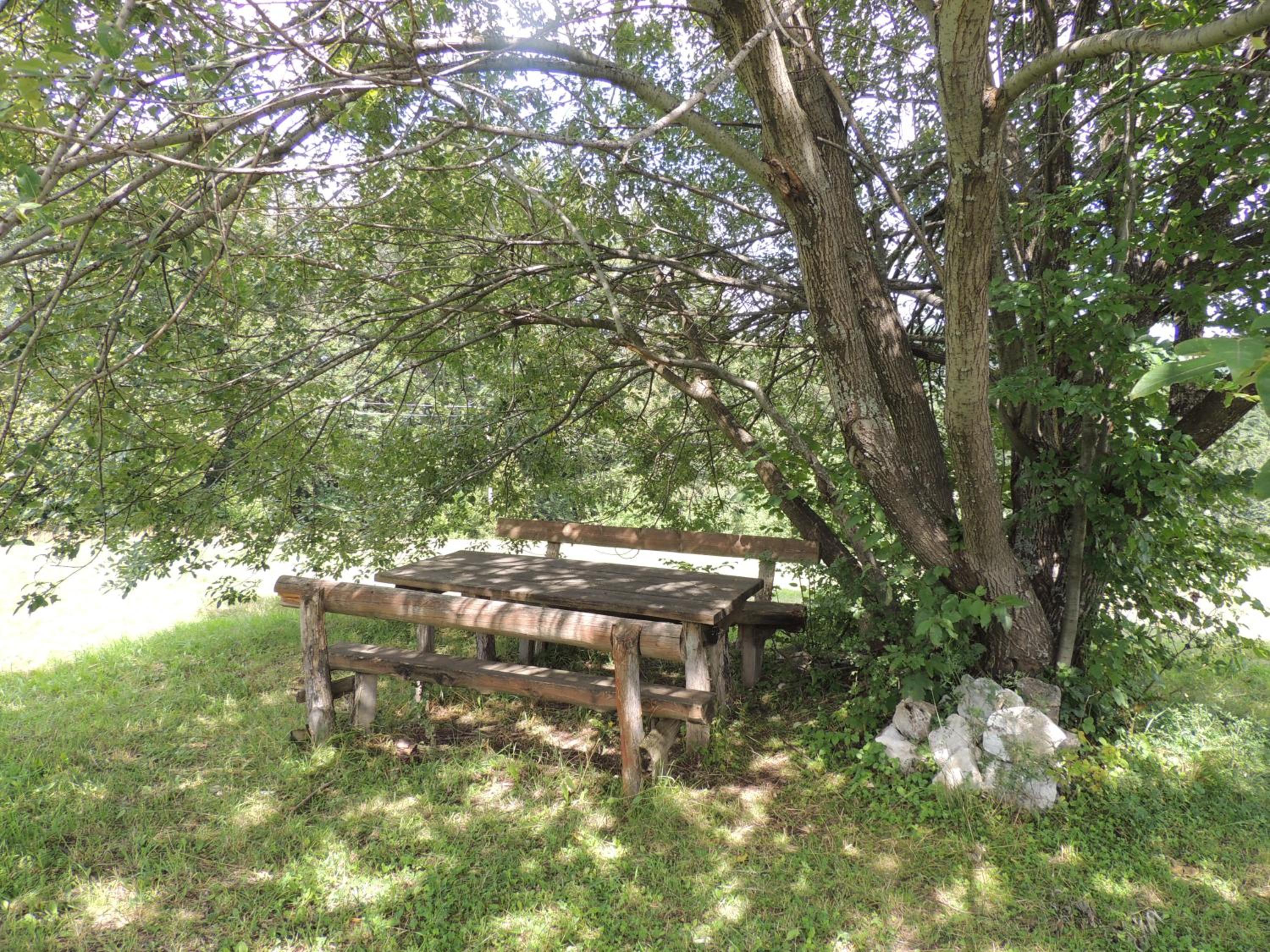 Photo 37