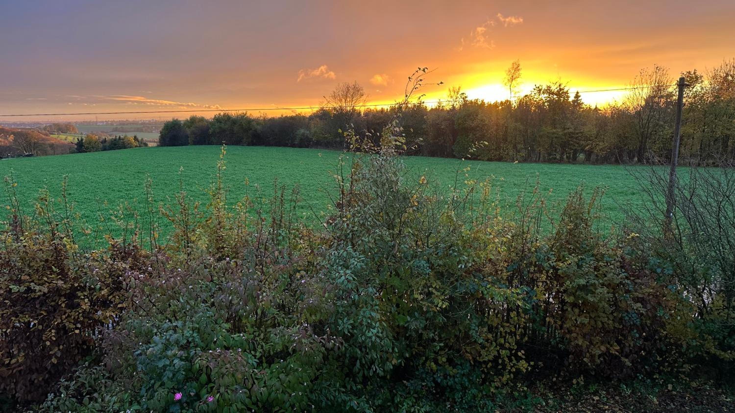 Kleine Auszeit mit Aussicht Velbert Tönisheide, photo 2