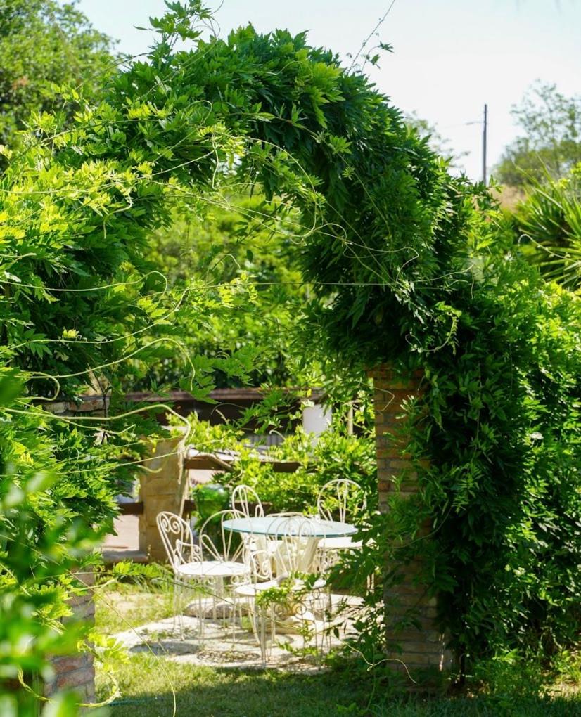 Tenuta San Tommaso