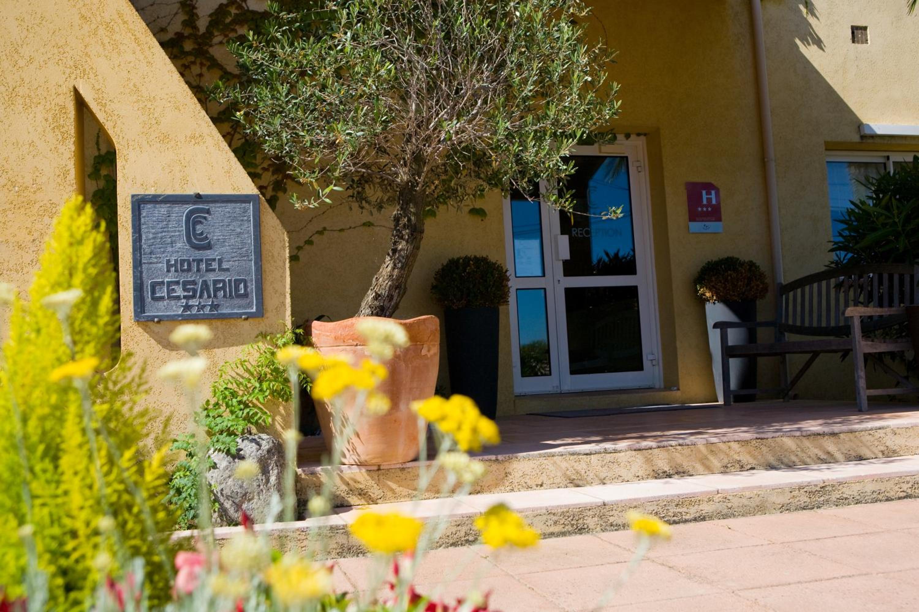 Hotel Cesario - Image 1