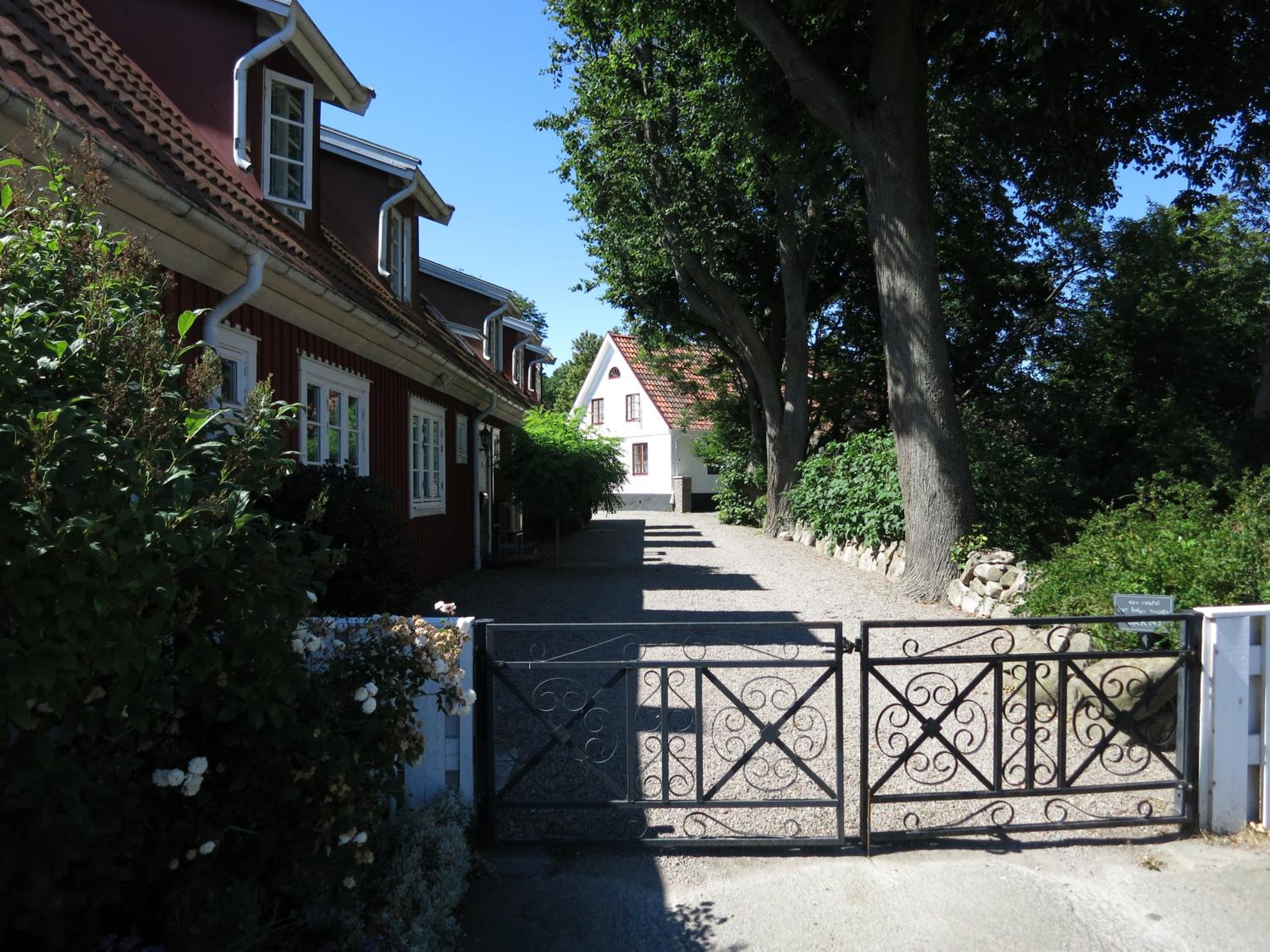 Photo 19