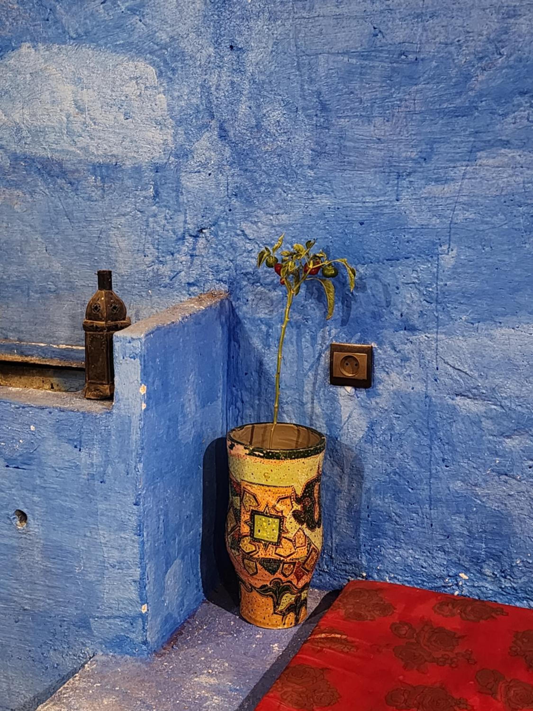 Dar Lala Chafia Fes