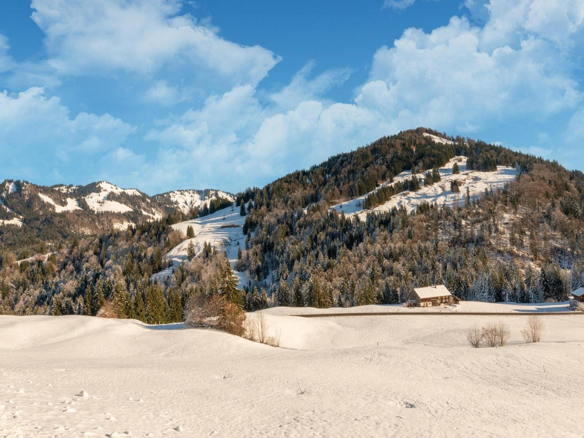 Dog-friendly holiday apartment in Bregenzerwald