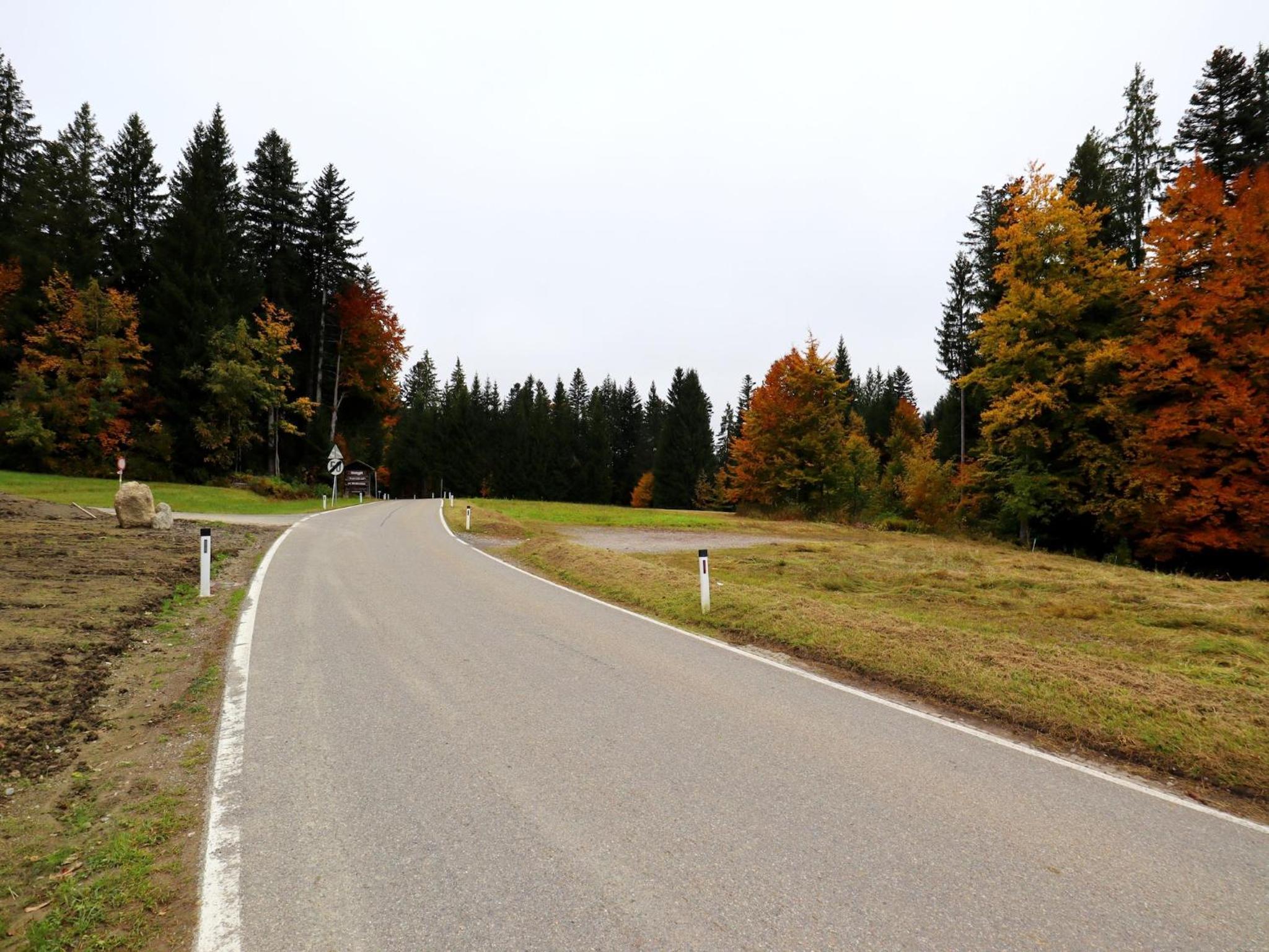 Dog-friendly holiday apartment in Bregenzerwald