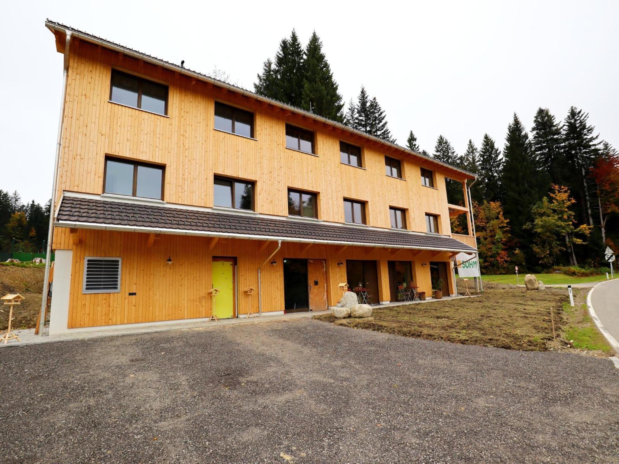 Dog-friendly holiday apartment in Bregenzerwald