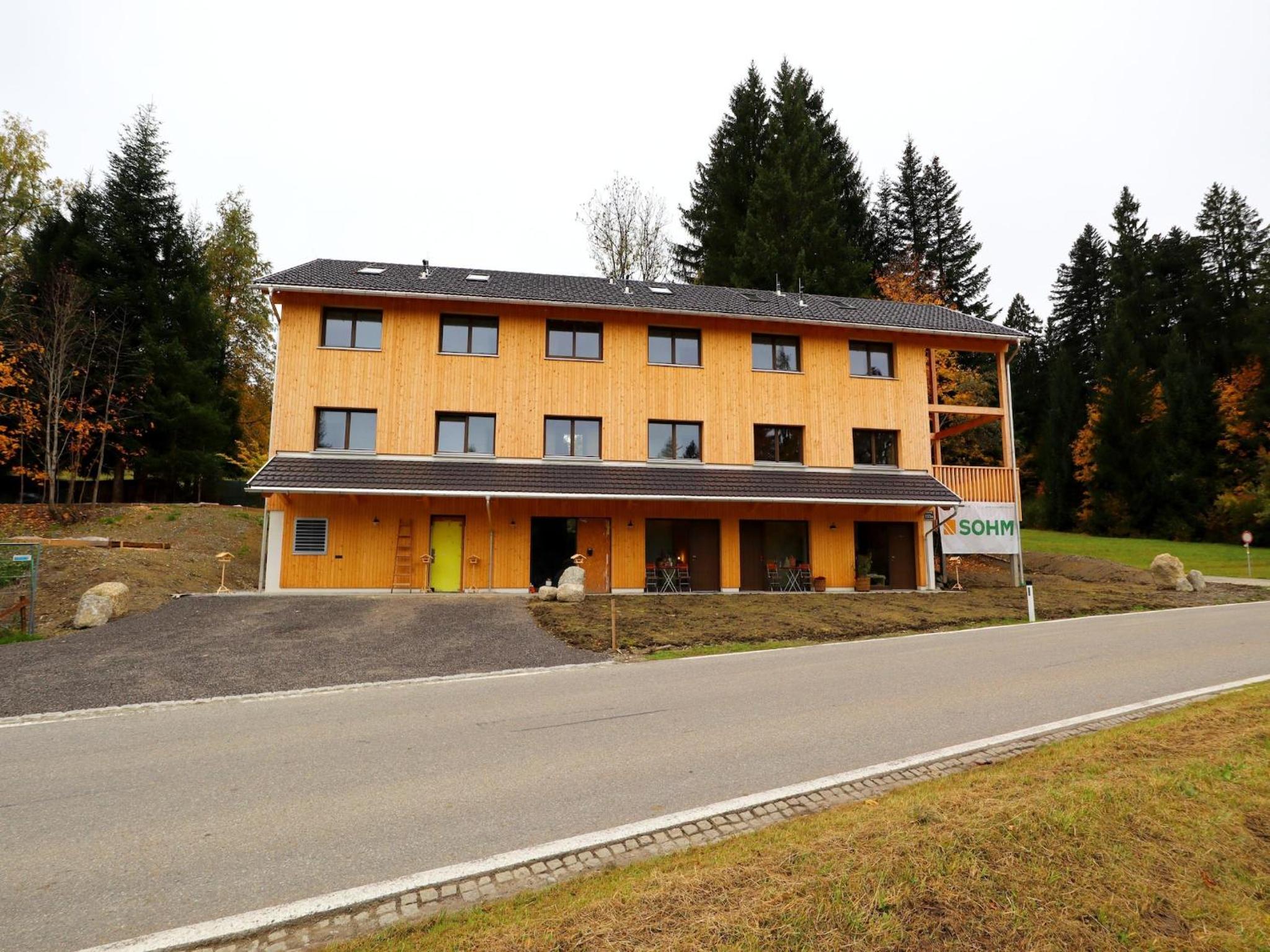 Dog-friendly holiday apartment in Bregenzerwald