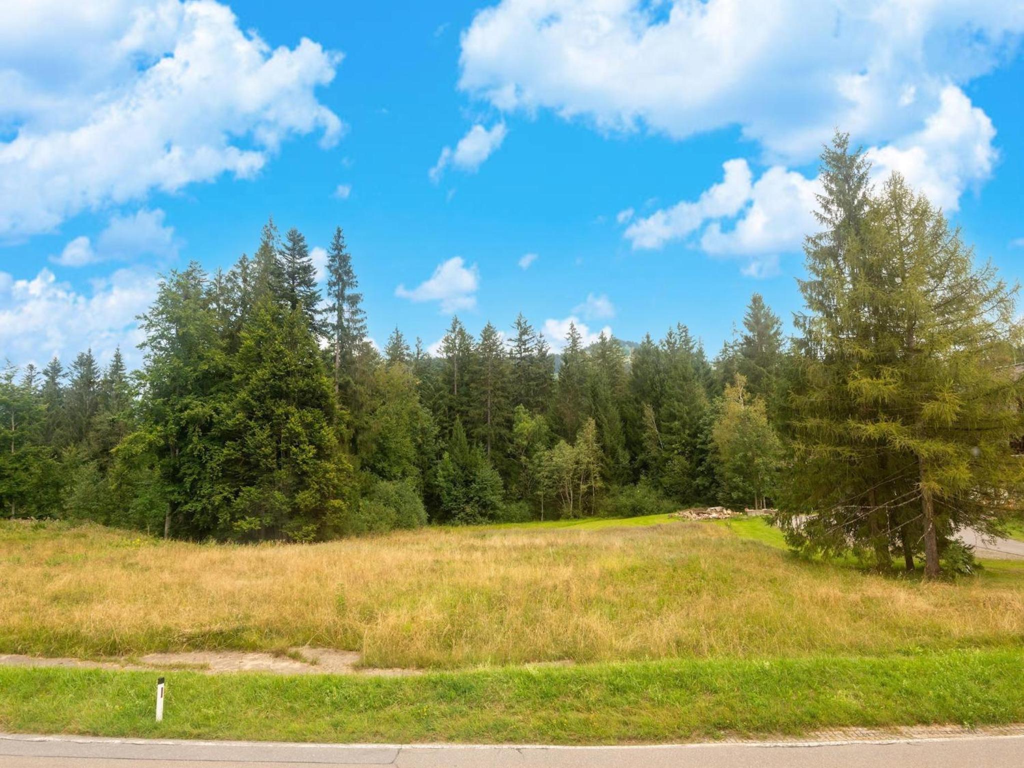 Dog-friendly holiday apartment in Bregenzerwald
