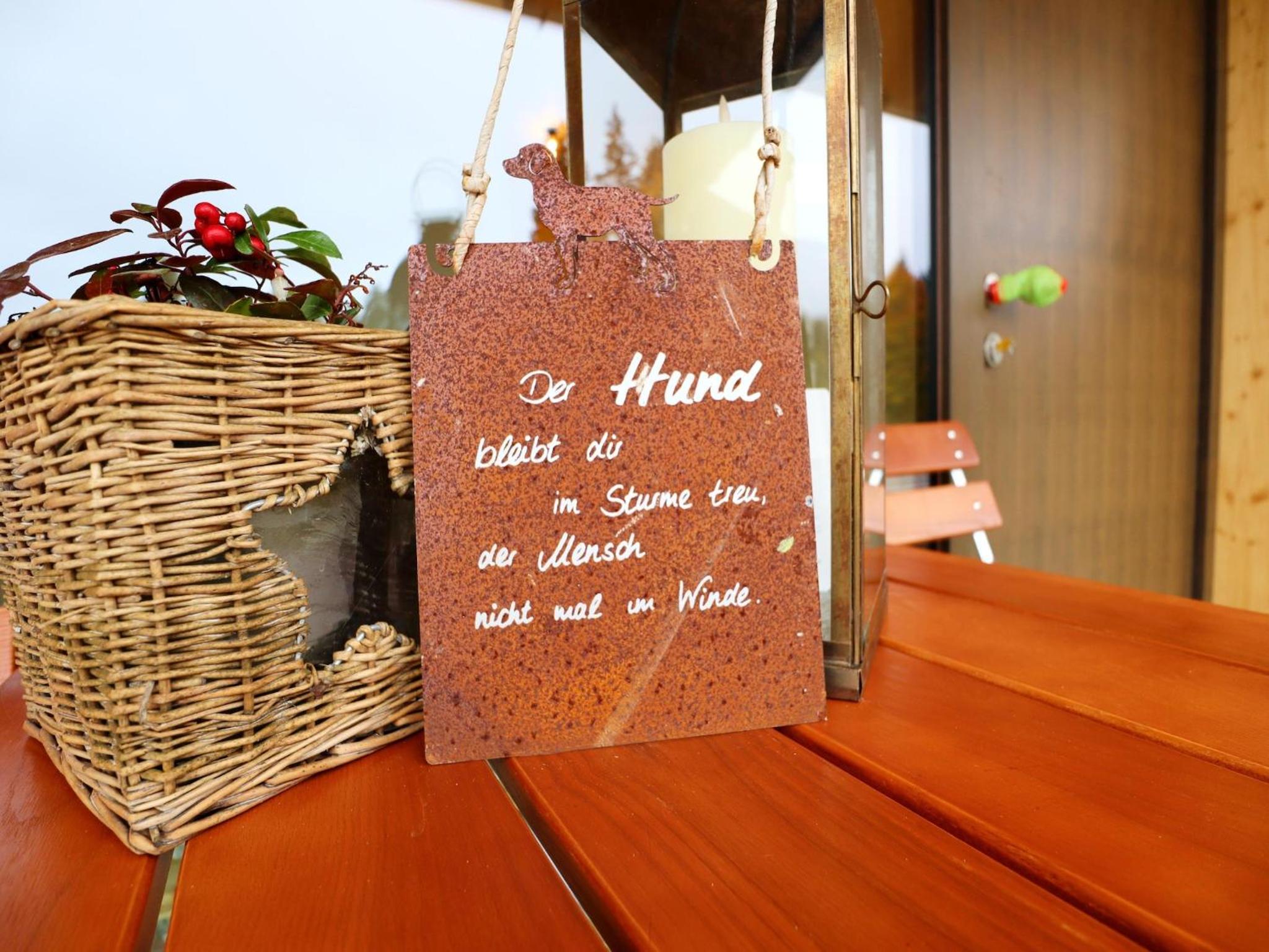Dog-friendly holiday apartment in Bregenzerwald