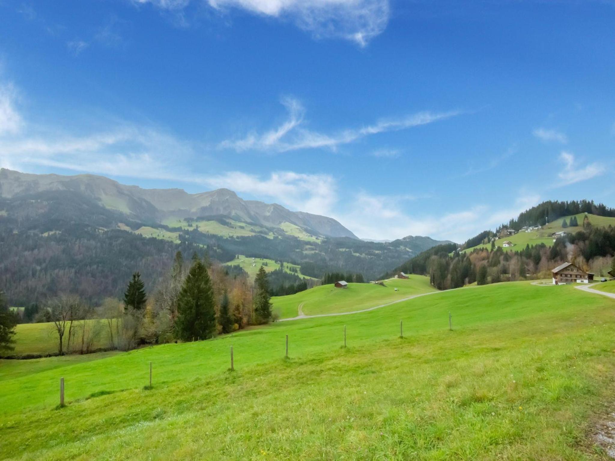Dog-friendly holiday apartment in Bregenzerwald