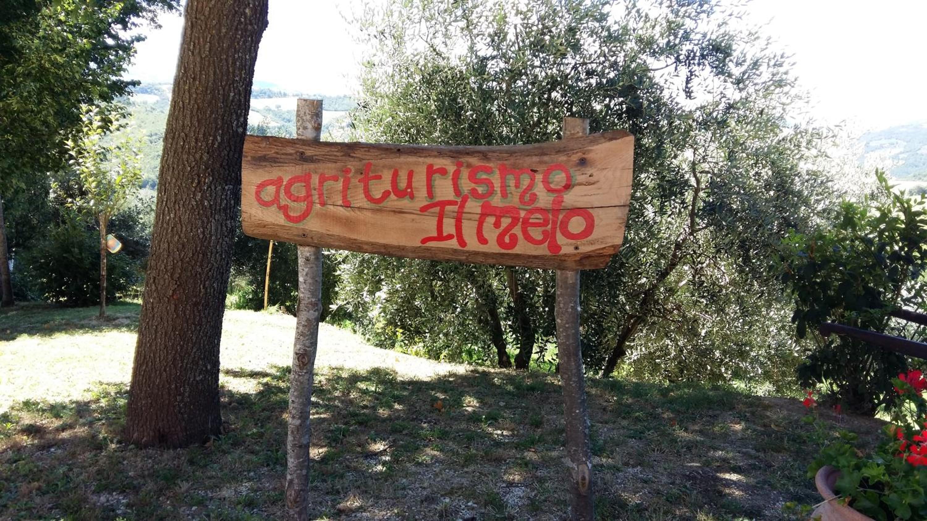other