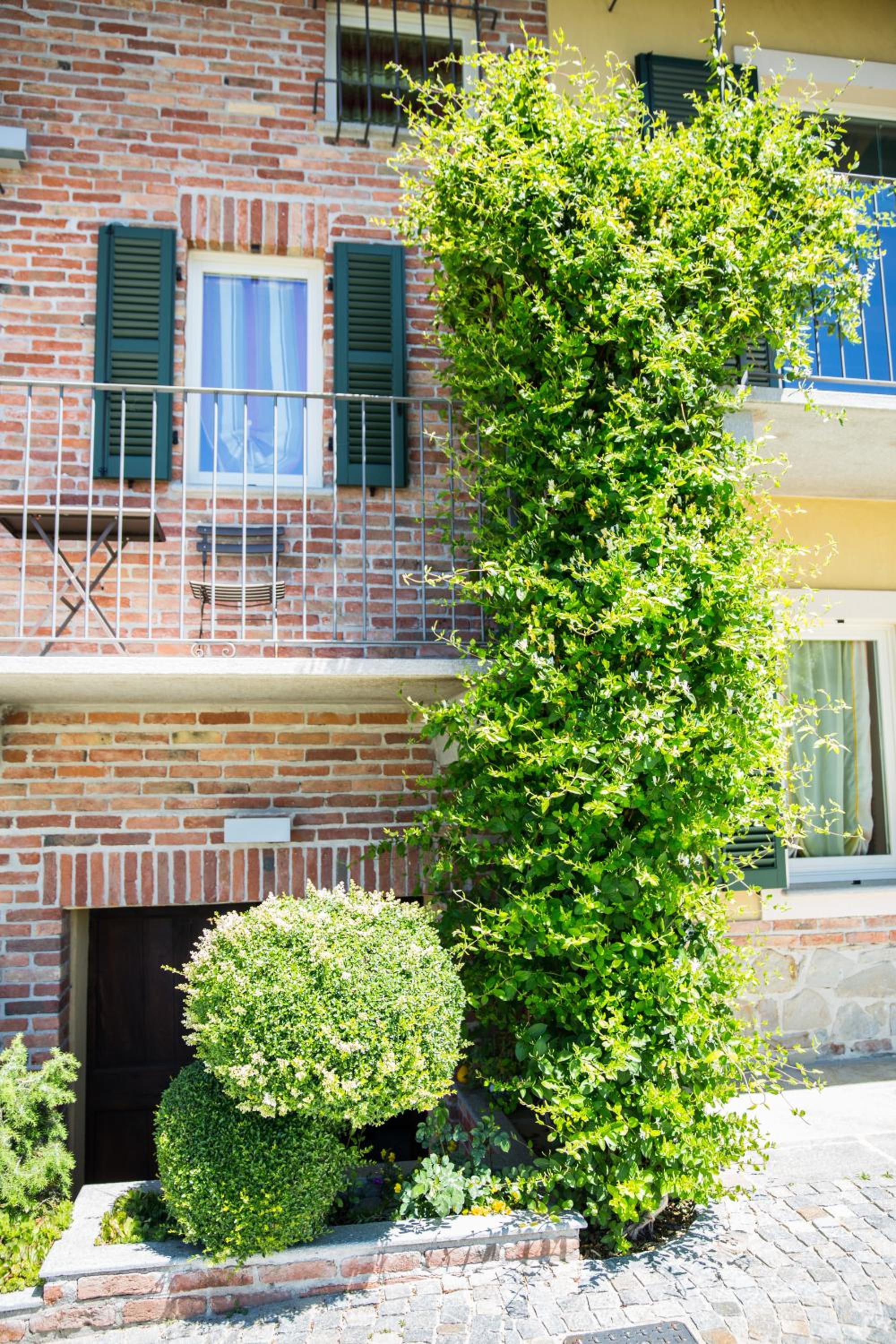 Bricco Torricella