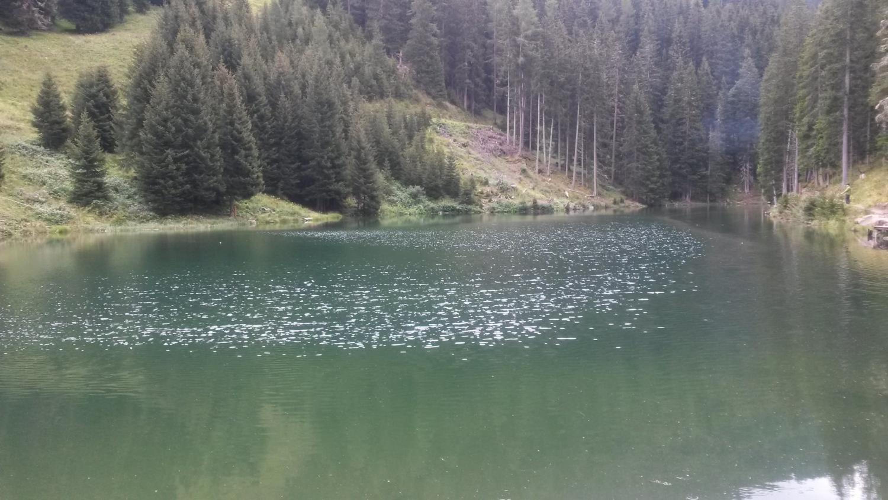 Apart Garni Wiesenhof
