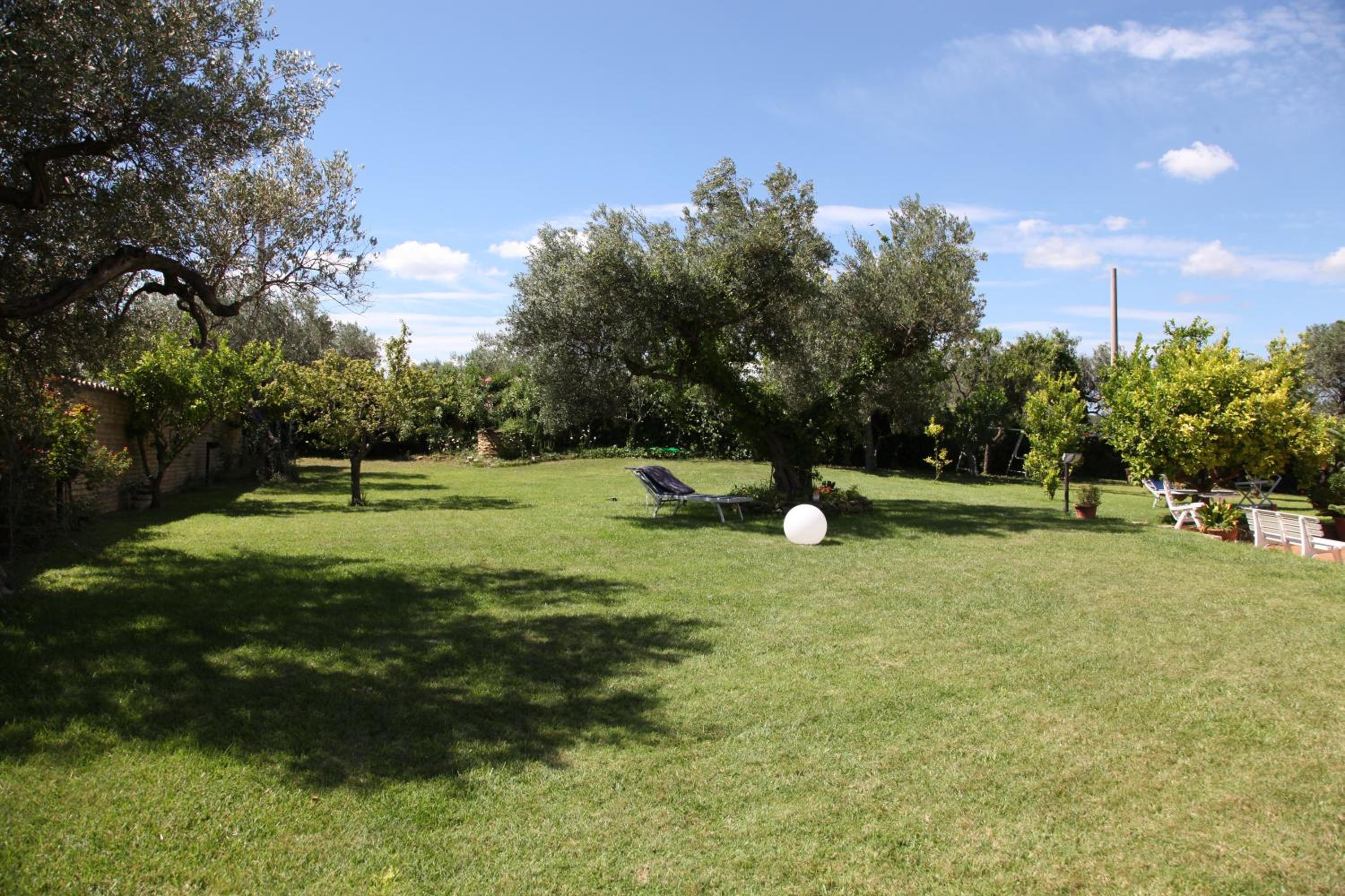 Photo 37