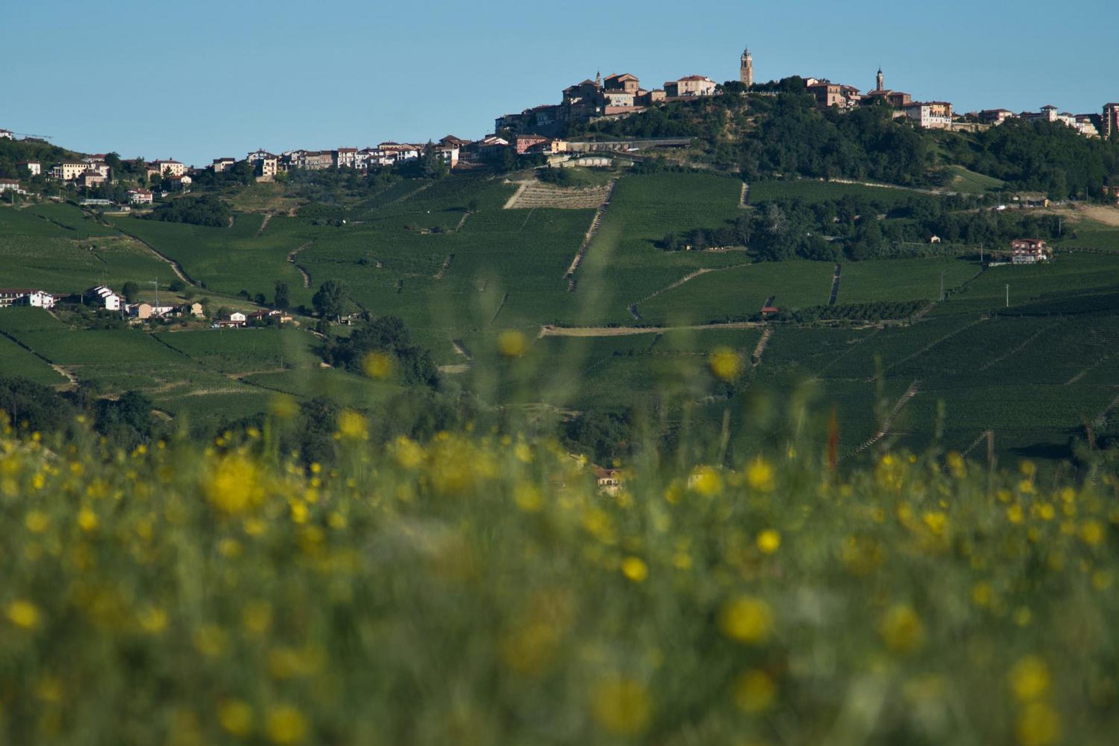 Villa Vitae
