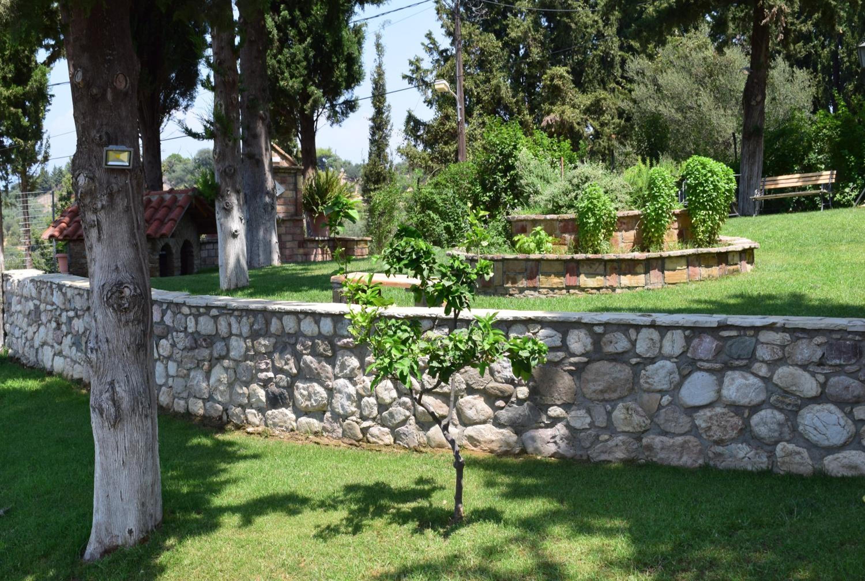 Photo 23