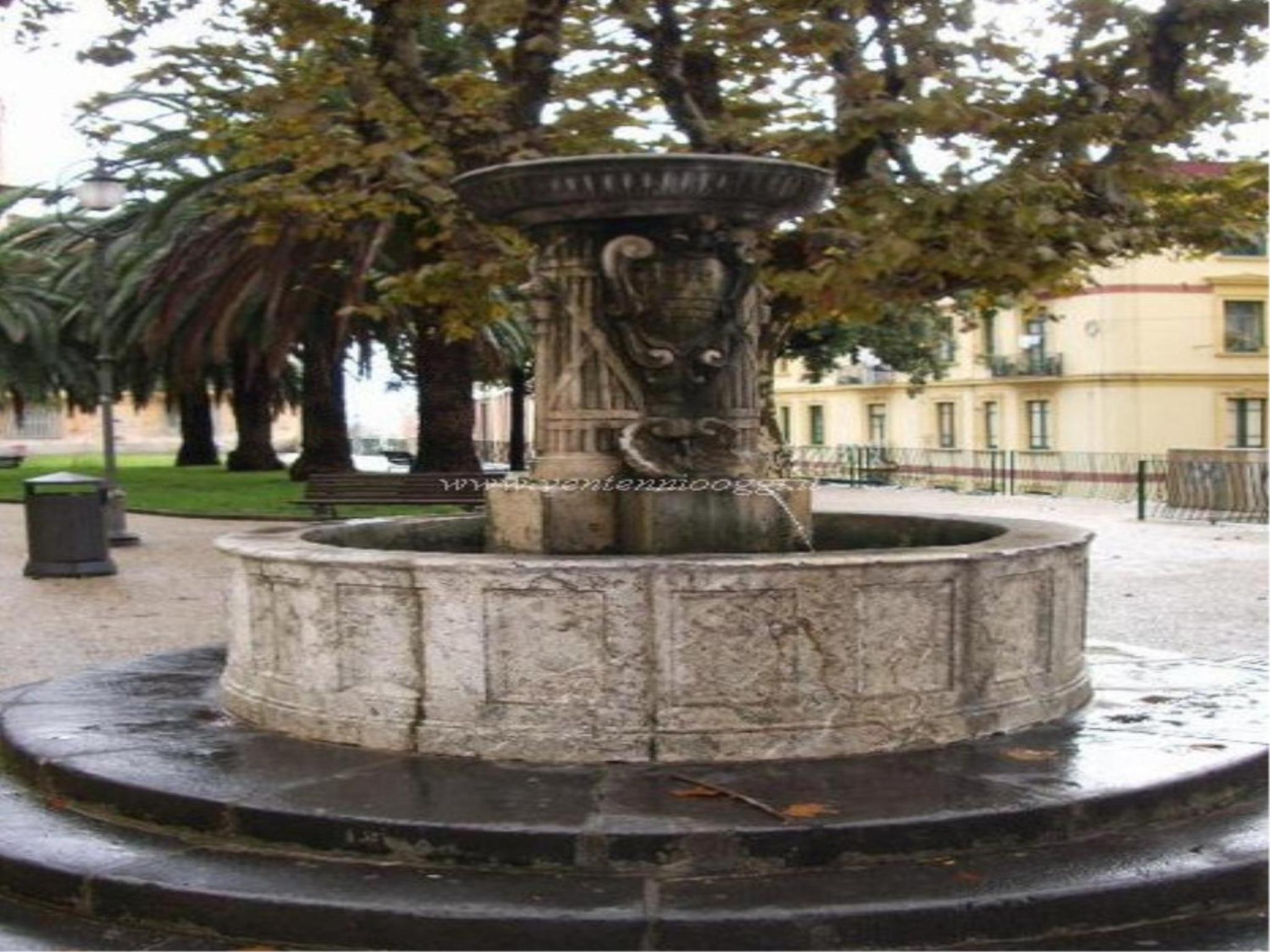Photo 29