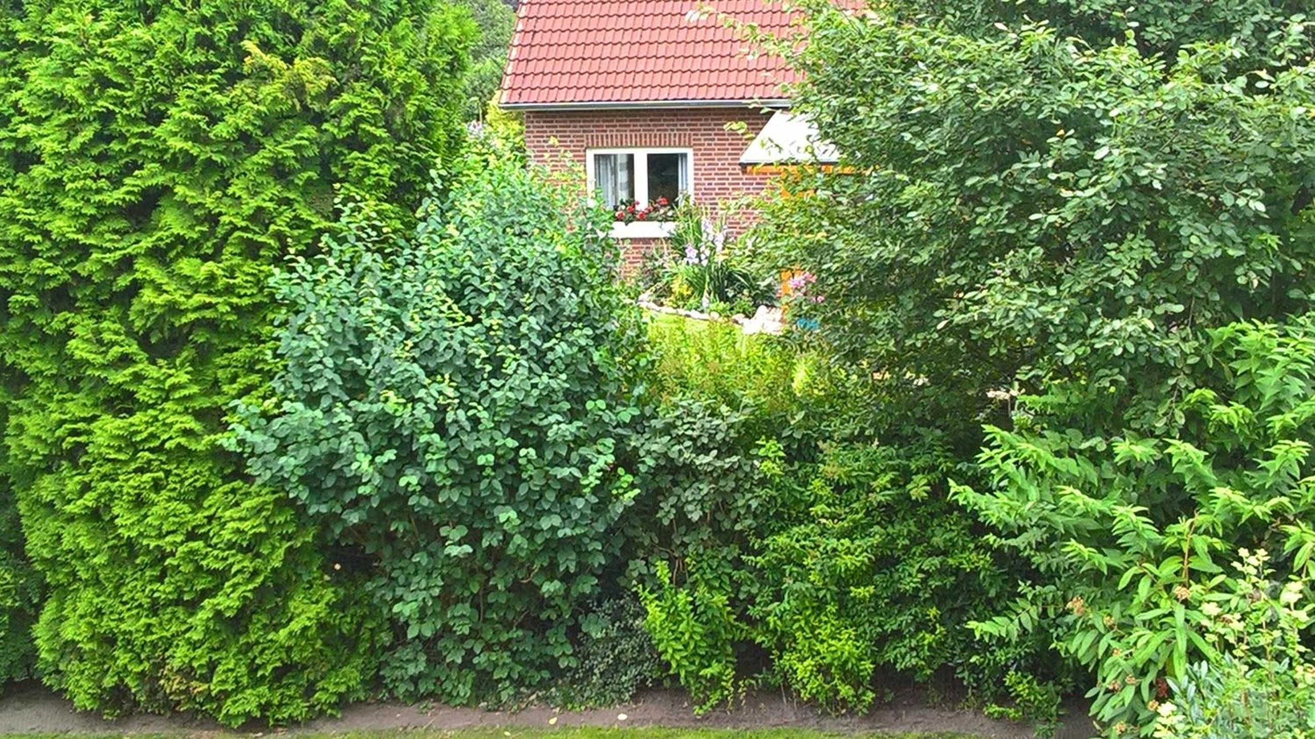 Ferienwohnung Fuchskuhle