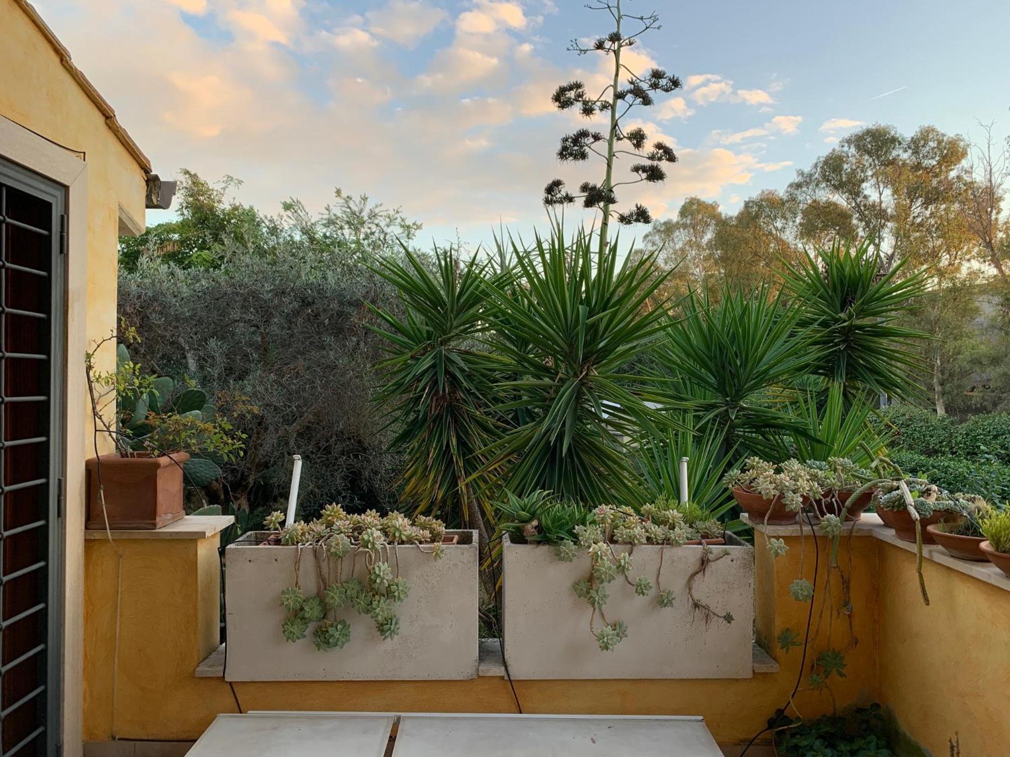Ostia Antica Country Garden Villetta