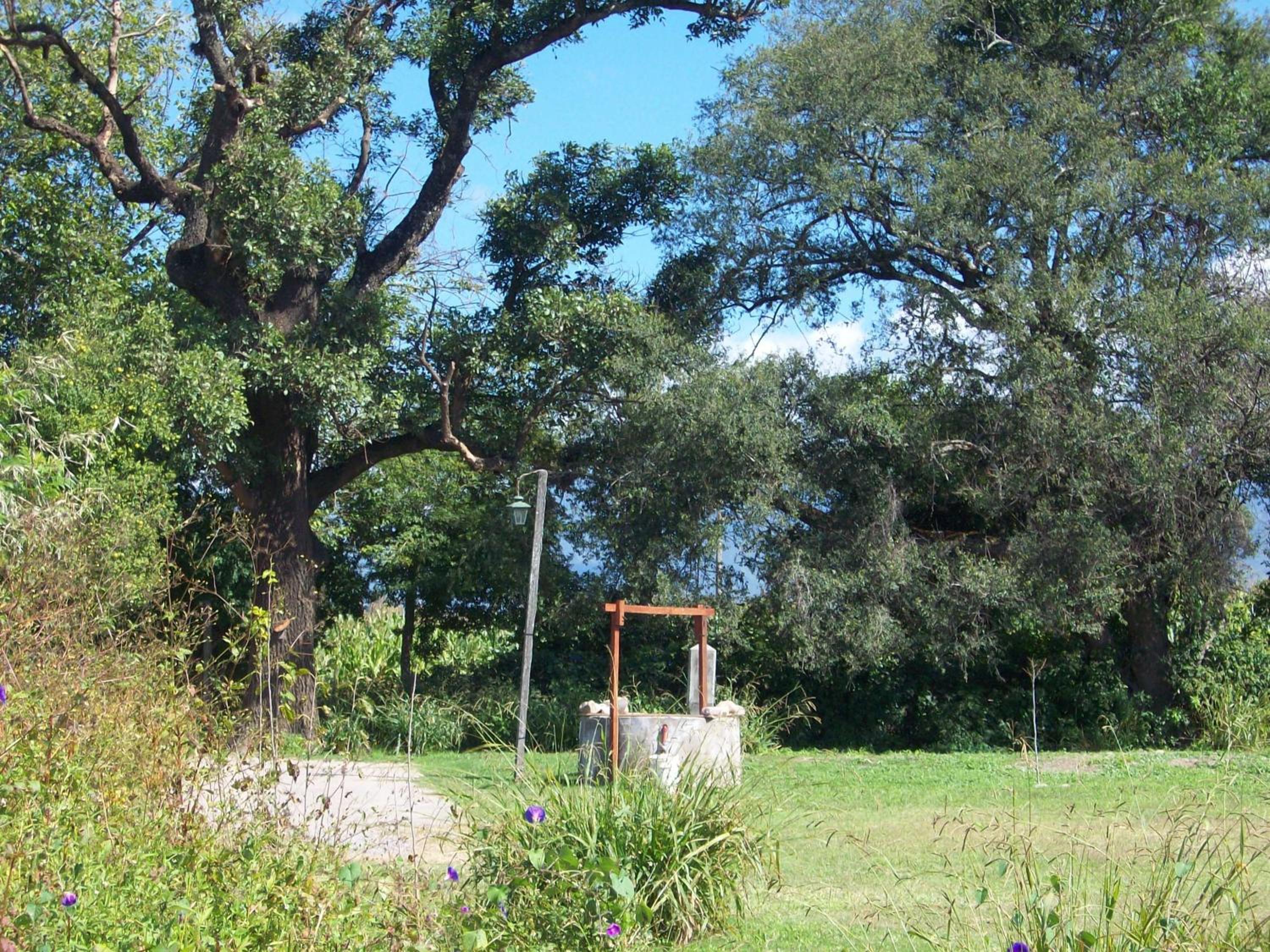 Finca La Vertiente