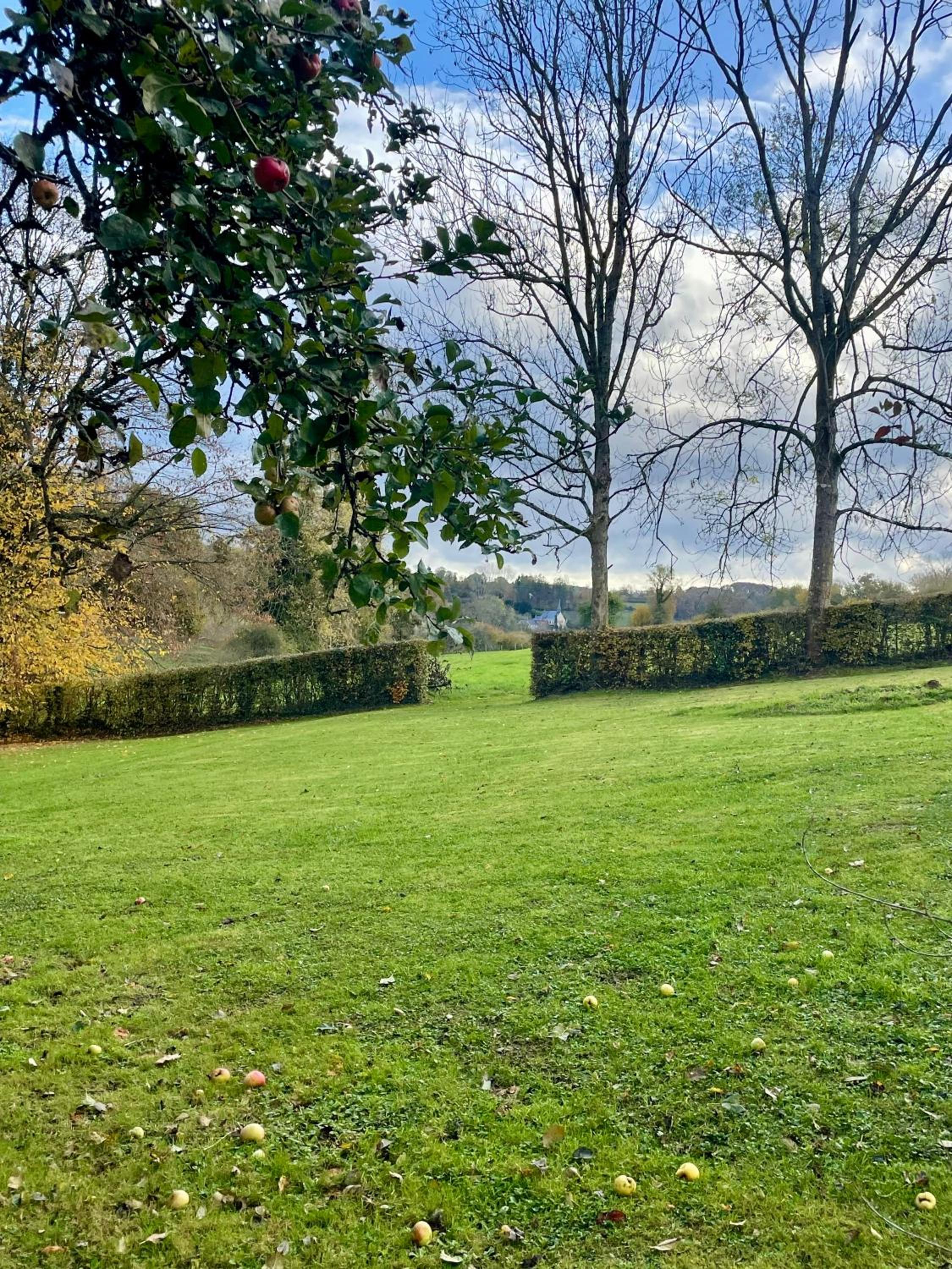 Le Hameau des Prés-Verts, un séjour détente et bien être pour les amoureux de la nature au cœur du Pays d'Auge, en Normandie