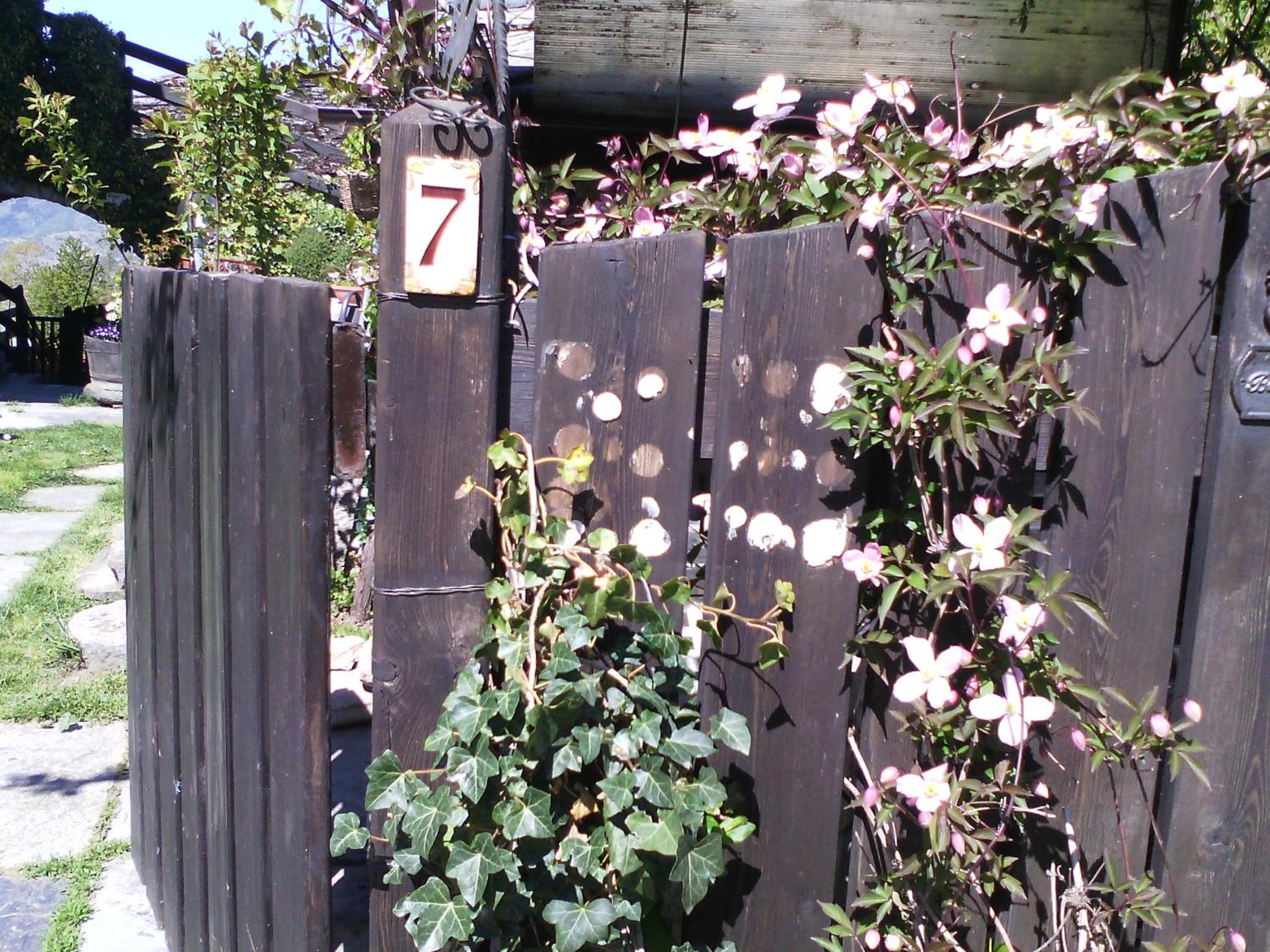 Photo 49