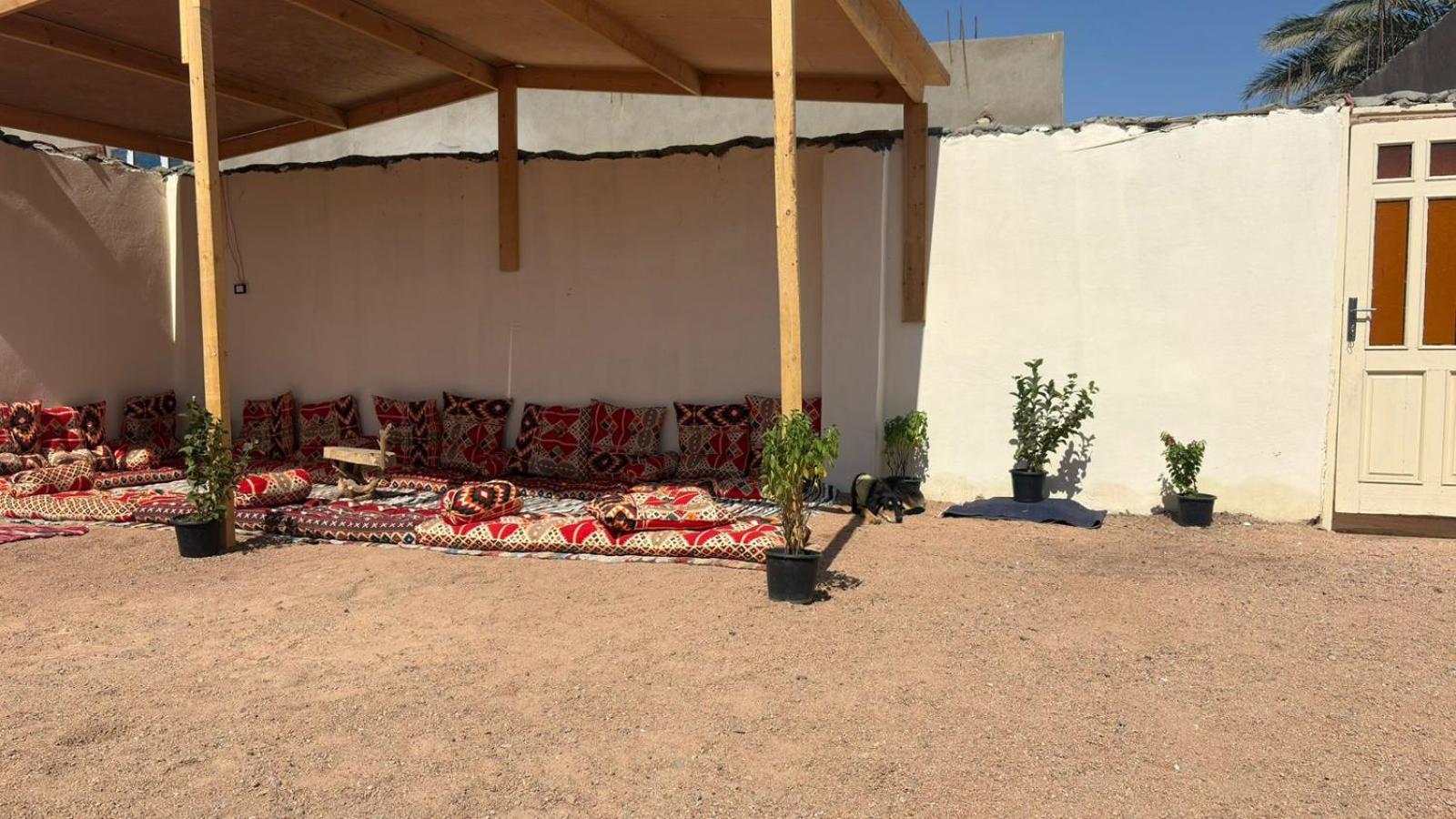 SafeZone Guesthouse