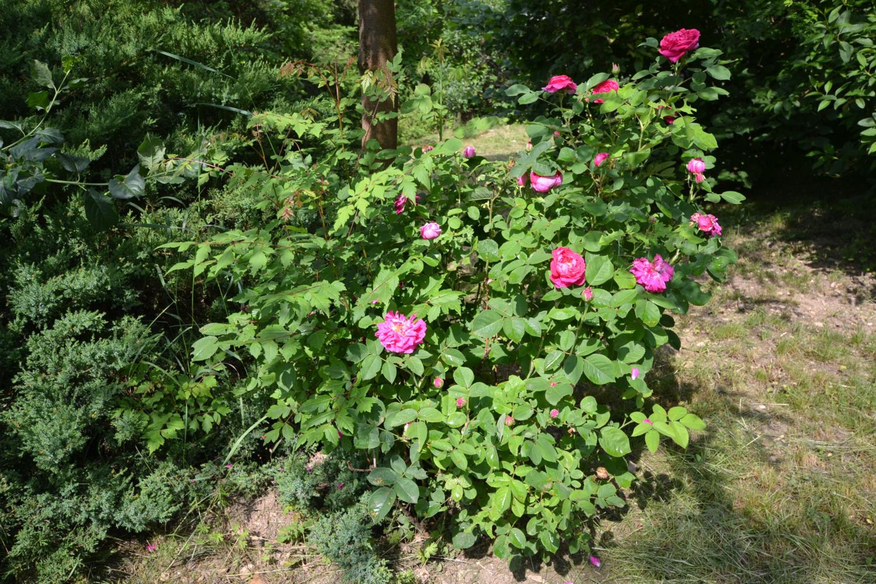 Photo 46